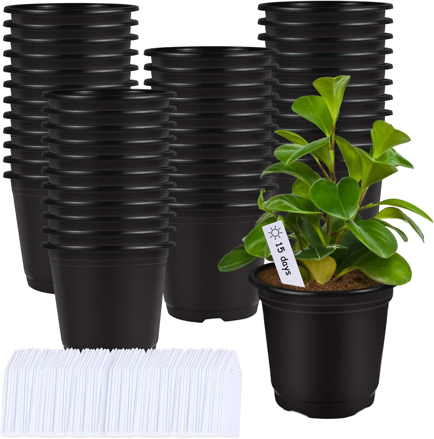 Augshy 75 Pcs 0.5 Gallon Black Plastic Plant Nursery Garden Pots 6 Inches Seed Starting Pots Containers with 100 Labels