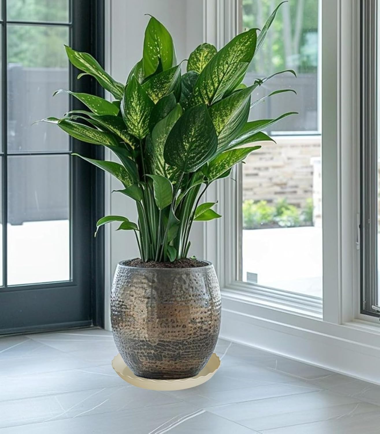 6 Pack Plant Saucer 10 inch, Heavy Duty Plastic Plant Saucers, Durable Plant Tray for Pots, Flower Saucers for Indoors, Plant Pot Saucers, Trays for Planter (Beige)