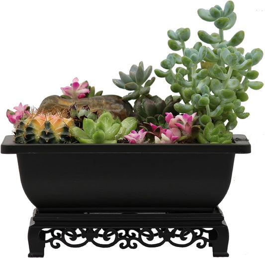 Bonsai Pots 7.5 Inch Antique Brown Bonsai Training Pots with Elegant Stand 2-Pack with Mesh Drainage Luxurious Indoor Recycled Plastic Planters