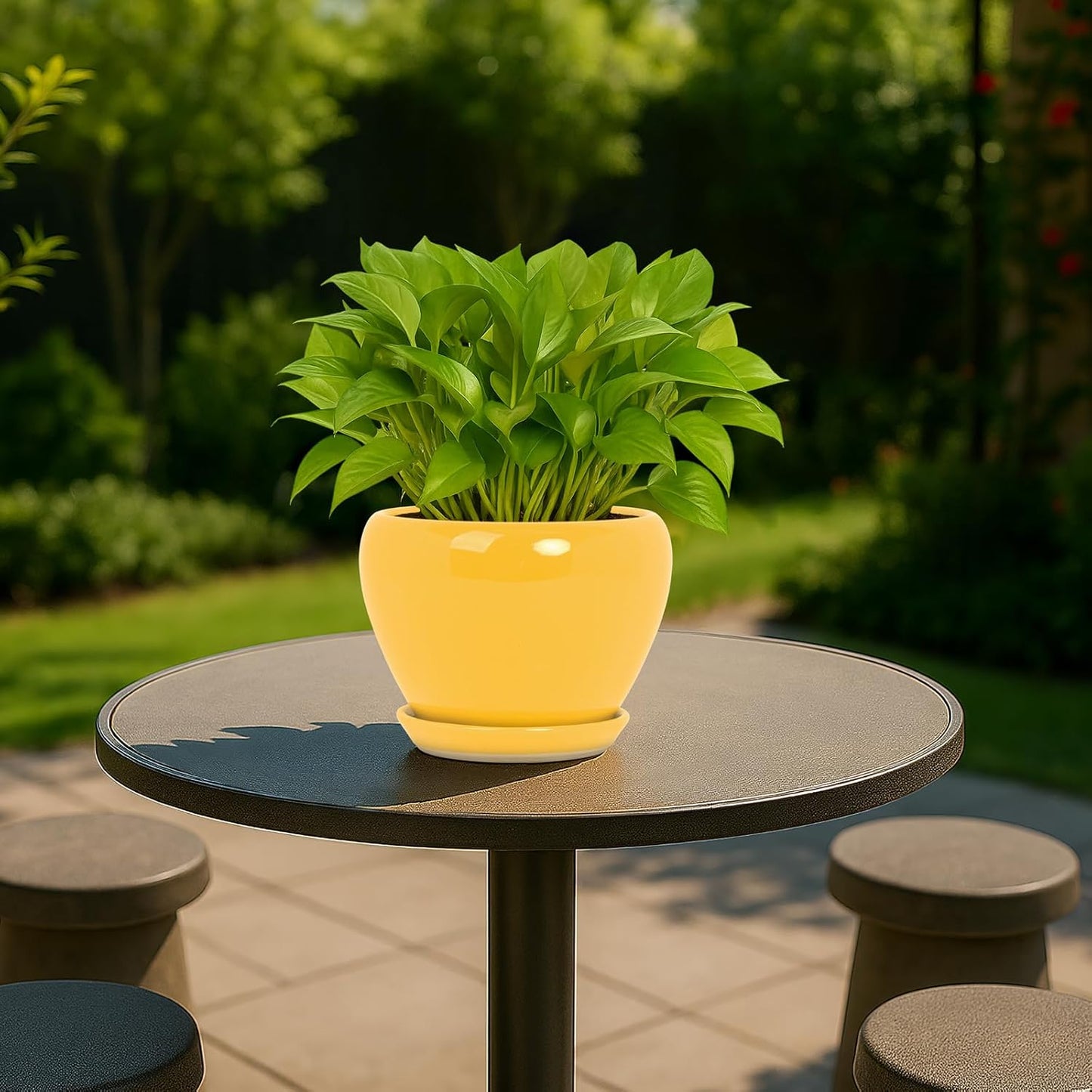 Deep Dream 6 Inch Plant Pots- Ceramic Planter Pot with Drainage Hole and Saucer, Round Flower Pot for Indoor Outdoor Succulent, Snake Plants and Cactus, Yellow