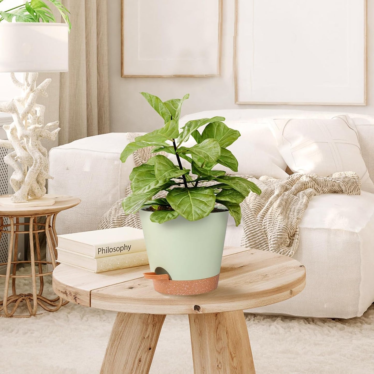 Self Watering Planters for Outdoor Plants 7/6.5/6/5.5/5Inch 5Pack Flower Pot for House Plants Green Indoor Plastic Pots Plant Pots Succulent Pots with Drainage Hole and Deep Reservoir