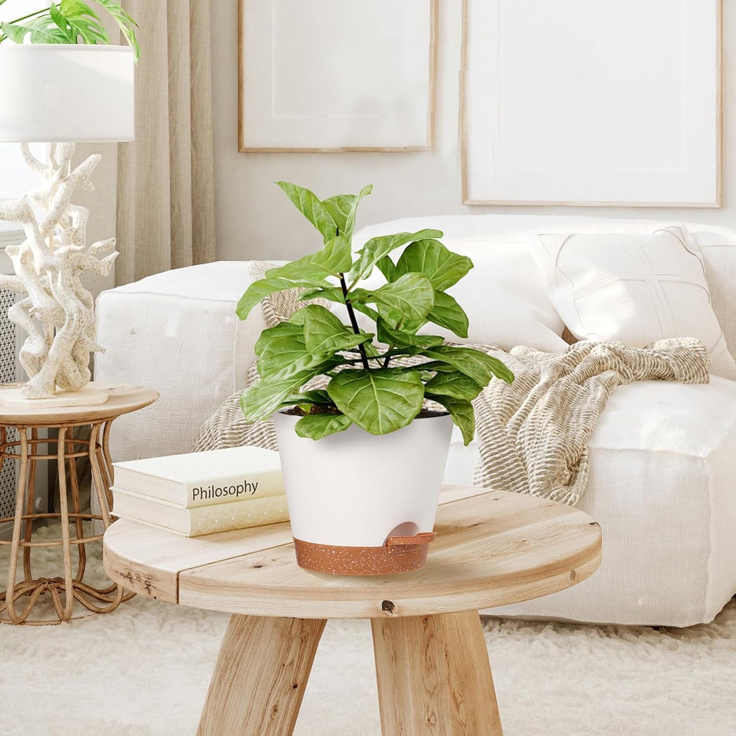 Plant Pots Outdoor Self Watering Pots, Flower Pots with Drainage Hole and Reservoir White Plastic Planters for Indoor Plants Home Decorations Gift Idea 5Pack