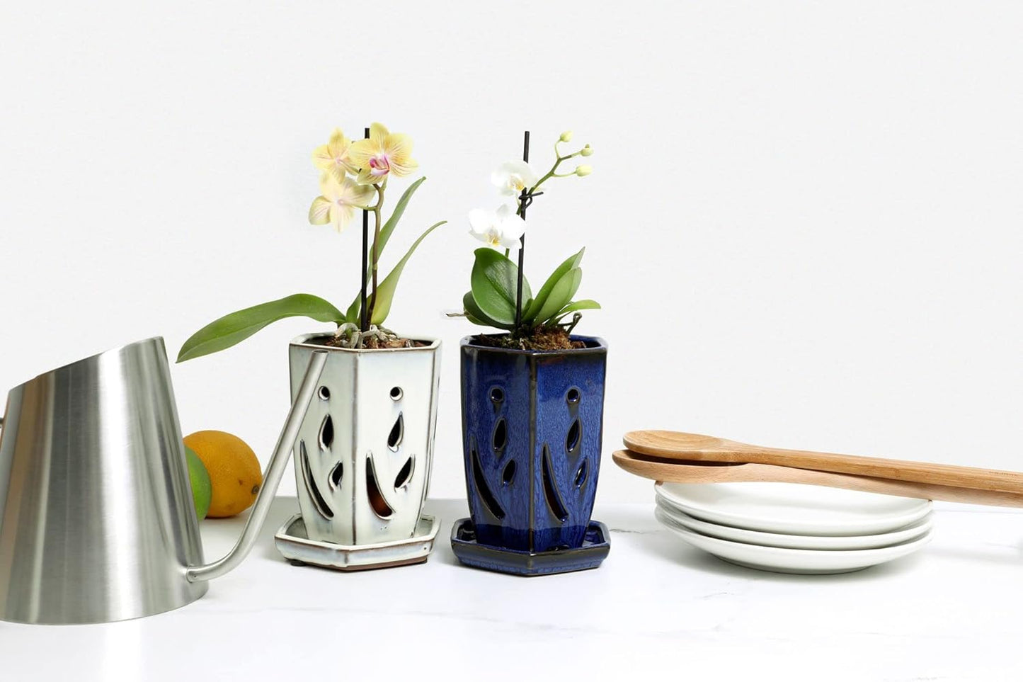 rePotme Orchid Pot, 4 x 6 inch Hexagon Ceramic Orchid Pot with Holes and Matching Saucer (Teal Jade)