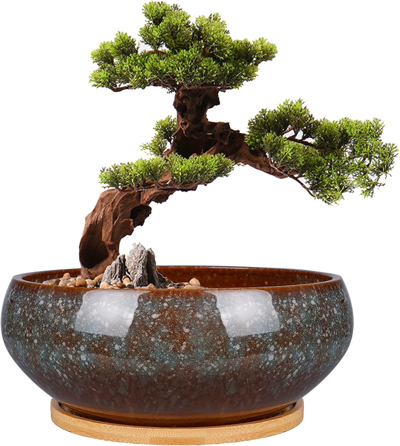 8 Inch Ceramic Bonsai Planter Pot, Glazed Shallow Succulent Planter with Drainage Hole and Bamboo Saucer for Indoor Plants, Green