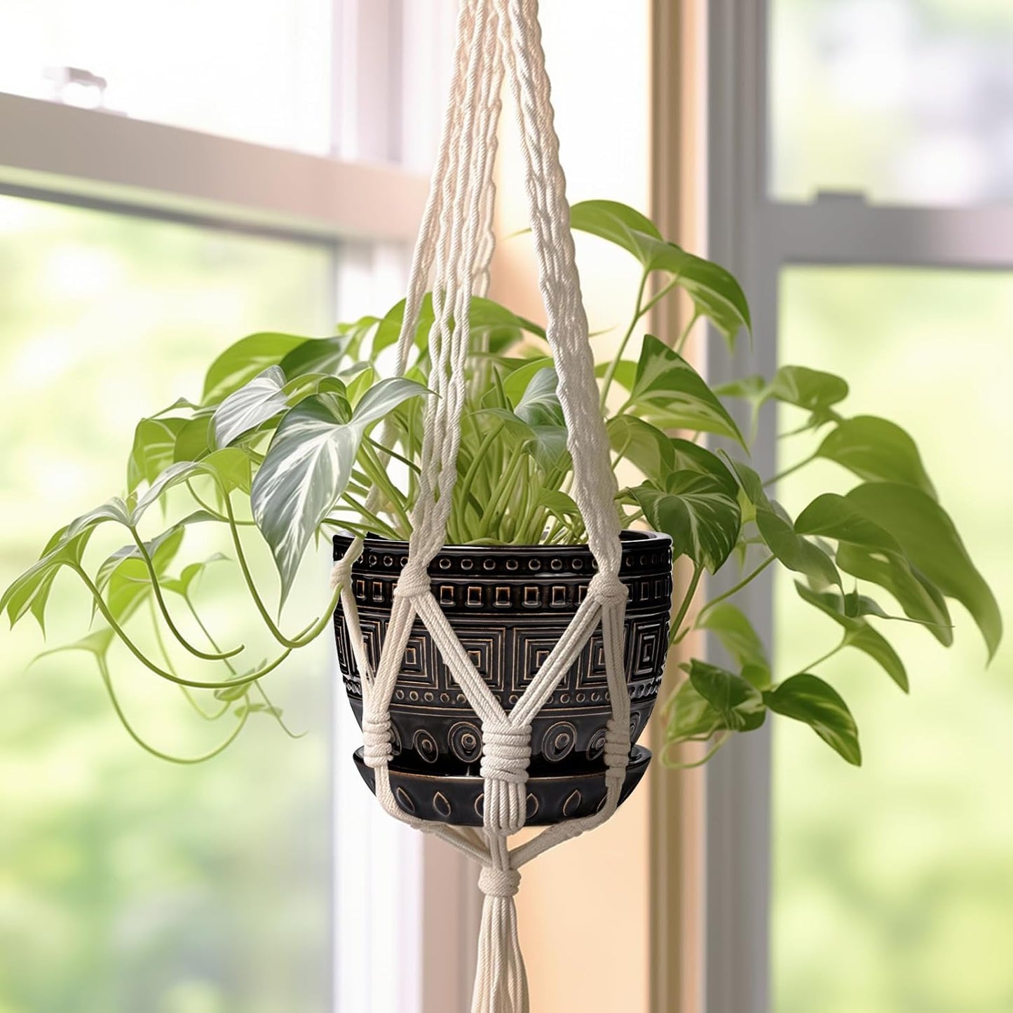 G EPGardening Ceramic Plant Pot - 5.5 Inch Ceramic Planter for Indoor Plants, Boho Round Indoor Flower Pot with Drainage Hole and Saucer, Plant Lover Gifts, Garden Home Room Decor, Black