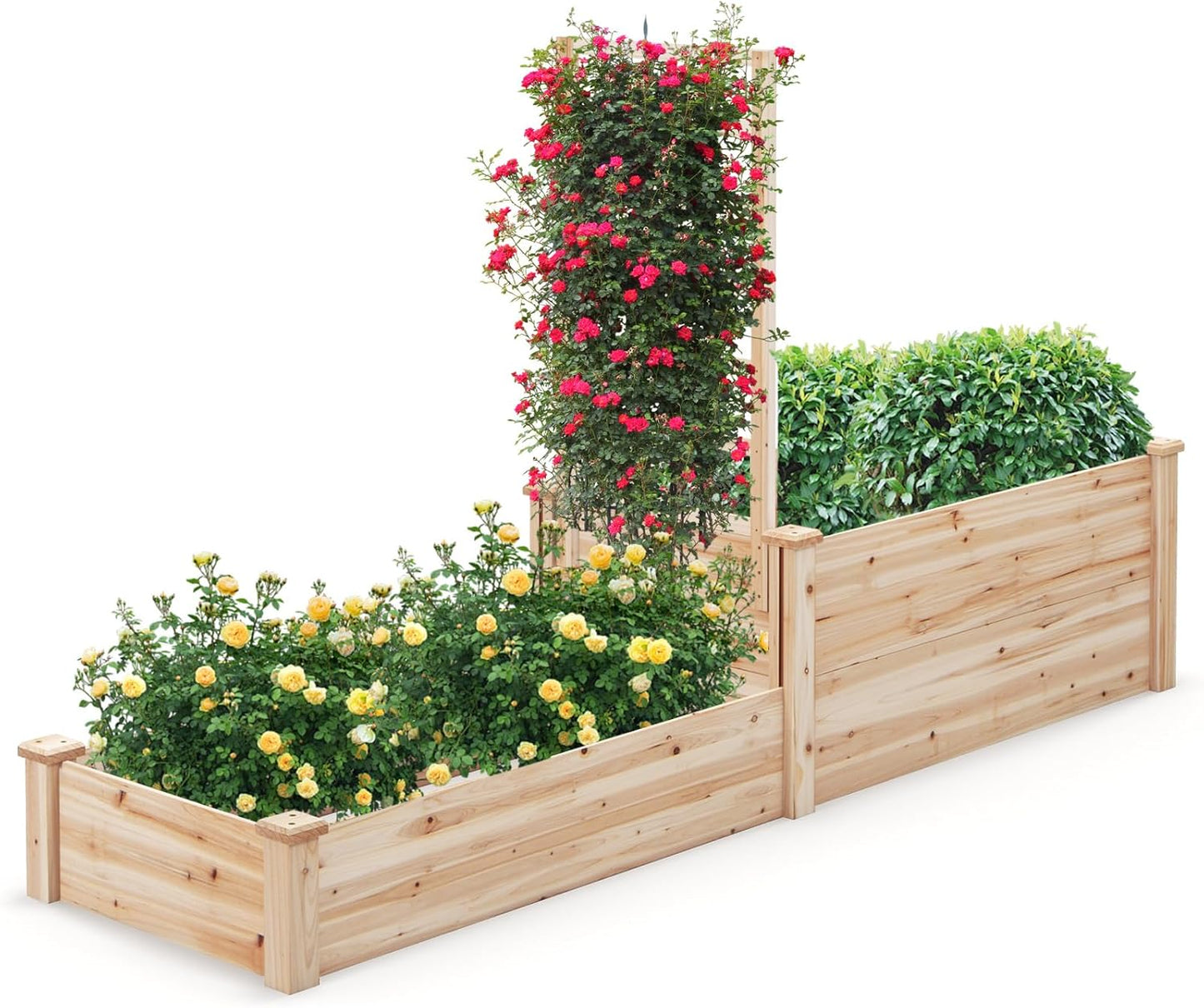 HAPPYGRILL Raised Garden Bed with Trellis, Wood Garden Box w/Open Base Design & 2 Compartments, Outdoor Wooden Planter Box Kit for Vine Climbing, Fruits, Vegetables, Flowers, Herbs, 88" x 25" x 53"