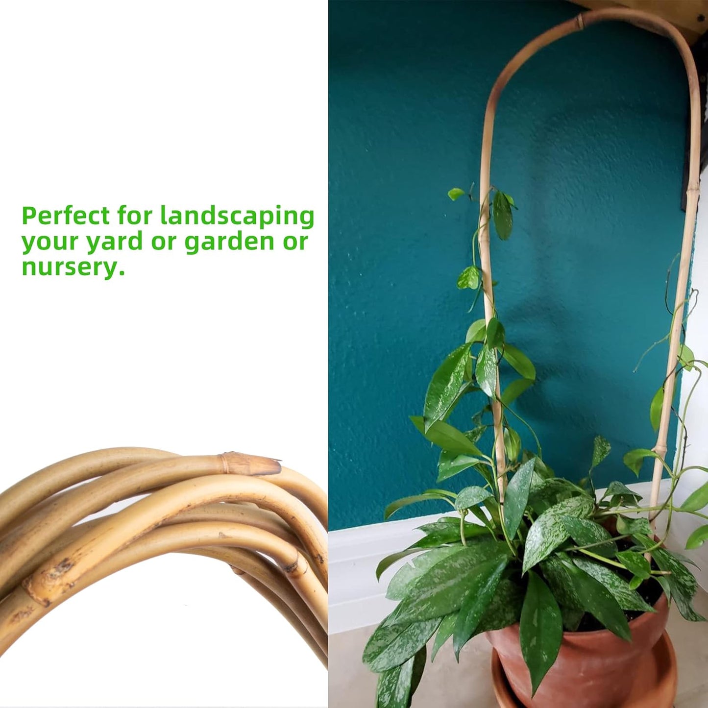 Avalution 16" Natural Bamboo Plants Trellis U-Hoop,Bamboo Gaeden Trellis U-Shape for Climbing Plant Support-20PCS