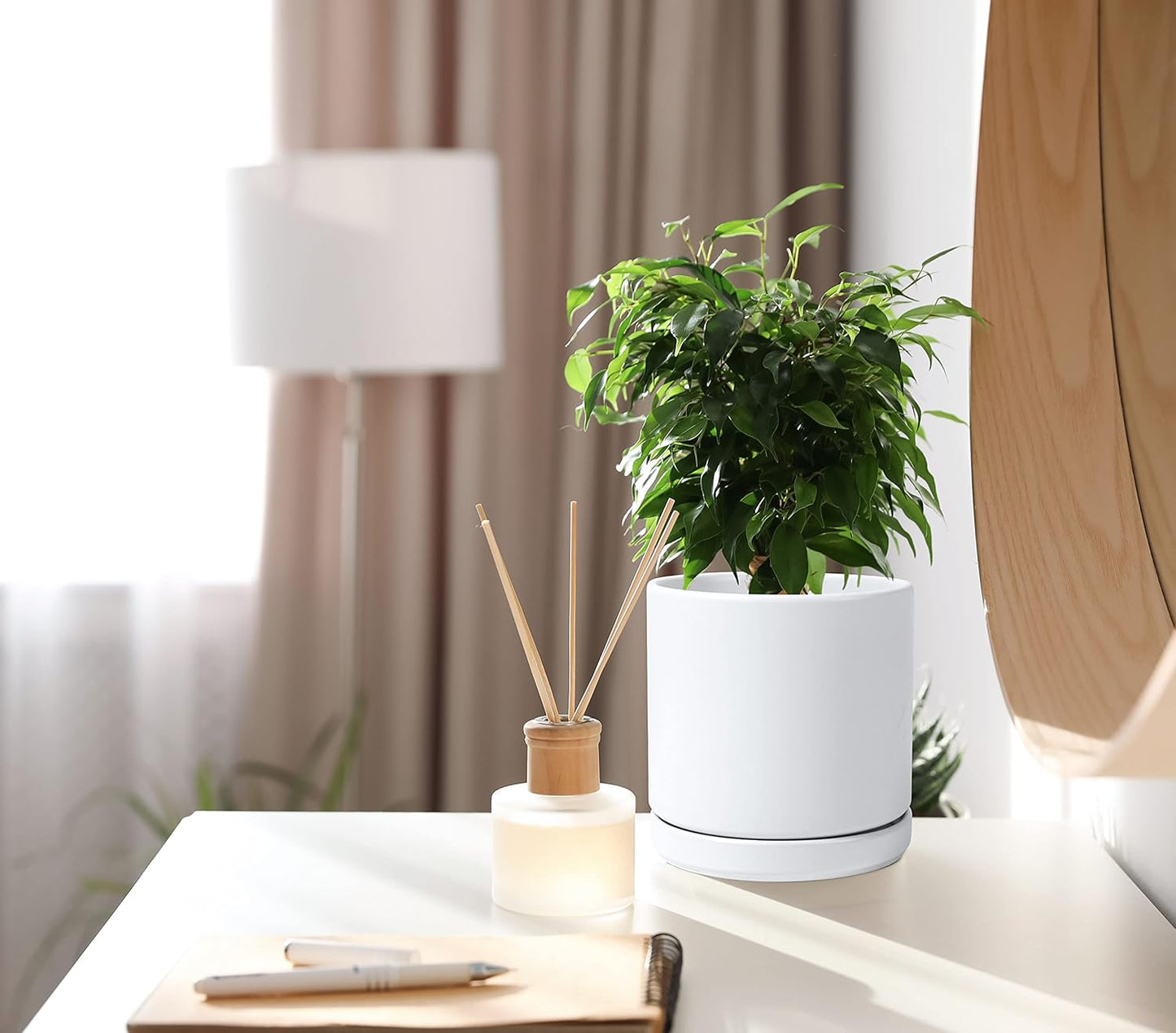 D'vine Dev 6 Inch Ceramic Planter Pot with Drainage Hole and Saucer, Indoor Cylinder Round Flower Pot, White, 94-O-C-1