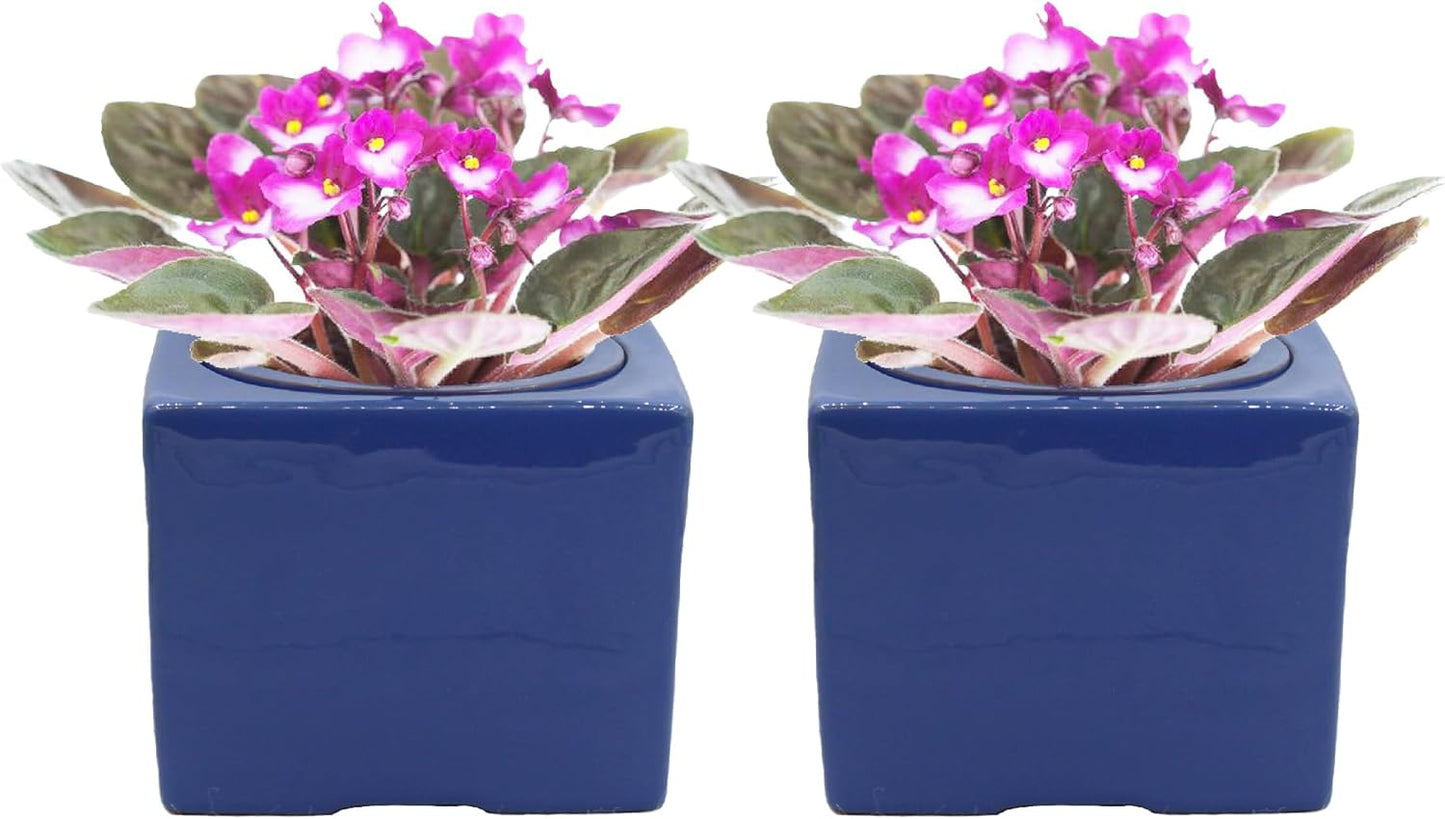 2-Pack Ceramic African Violet Self Watering Pot 6 Inch Square Pot 3.5 Inch Innter Pot Easy Fill Water Reservoir Blue