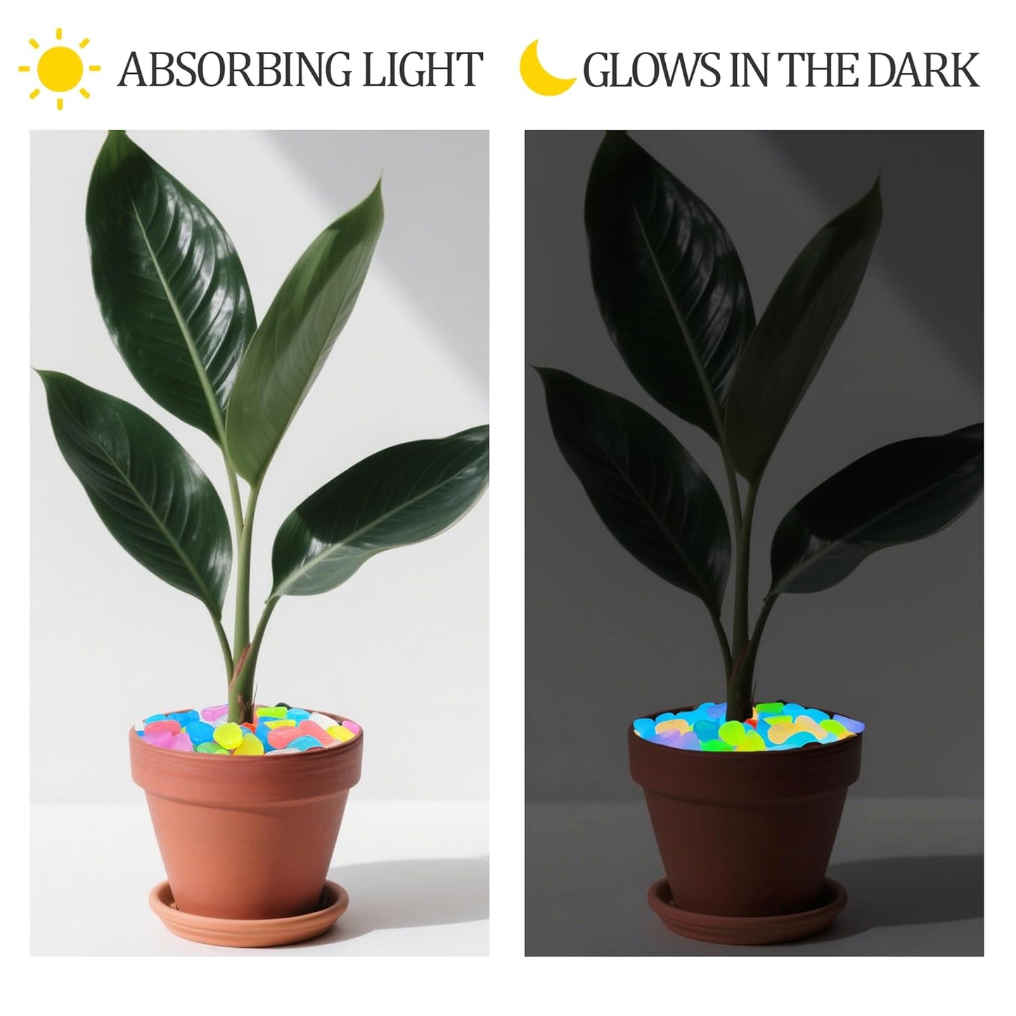 1.4LB 25-27mm Colorful Luminous Stones Fish Tank Glow Rocks Glow in The Dark Rocks Outdoor for Garden Path Walkway Yard Fish Tank Plant Pots