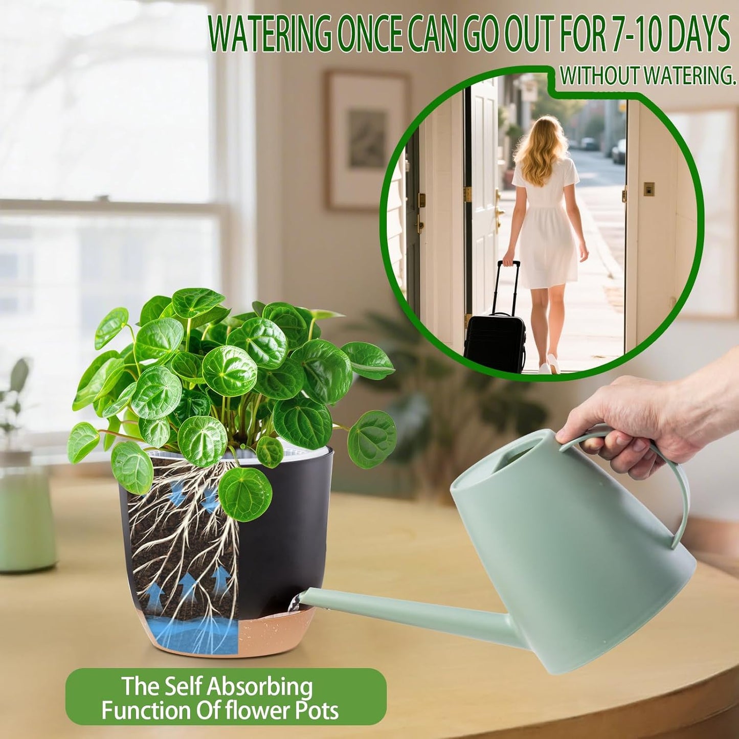 7.2 Inch Self Watering Orchid Pots for Indoor Plants,Macetas para Orqudeas,Flower Pots for Indoor Plants with Holes(Black)