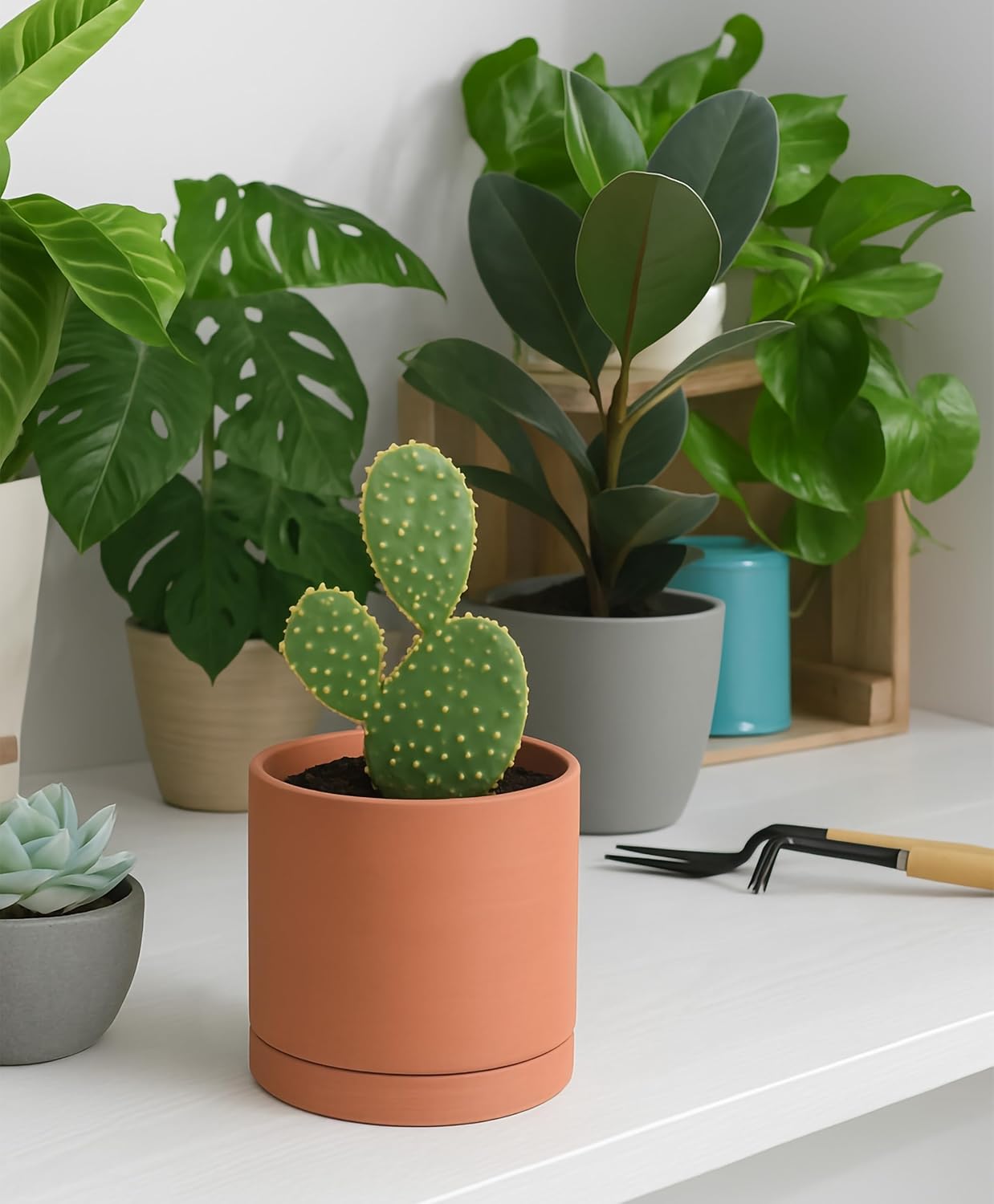 D'vine Dev Small Plus 5 Inch Terracotta Plant Pot with Drainage Hole and Saucer, Round Cylinder Planter Pot for Indoor Plants, 40-X-A-2