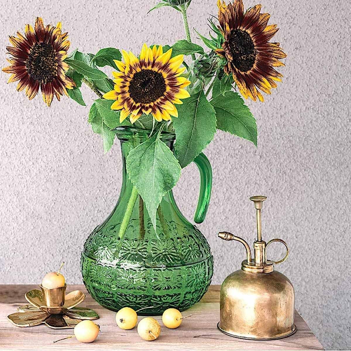 Brass Plant Mister (2 Pack) Indoor Plant Mister, Terrarium Mister, Orchid Spritzer, Succulent, Spray Bottle Mister, Plant Sprayer | A Beautiful and Useful Houseplant Accessory