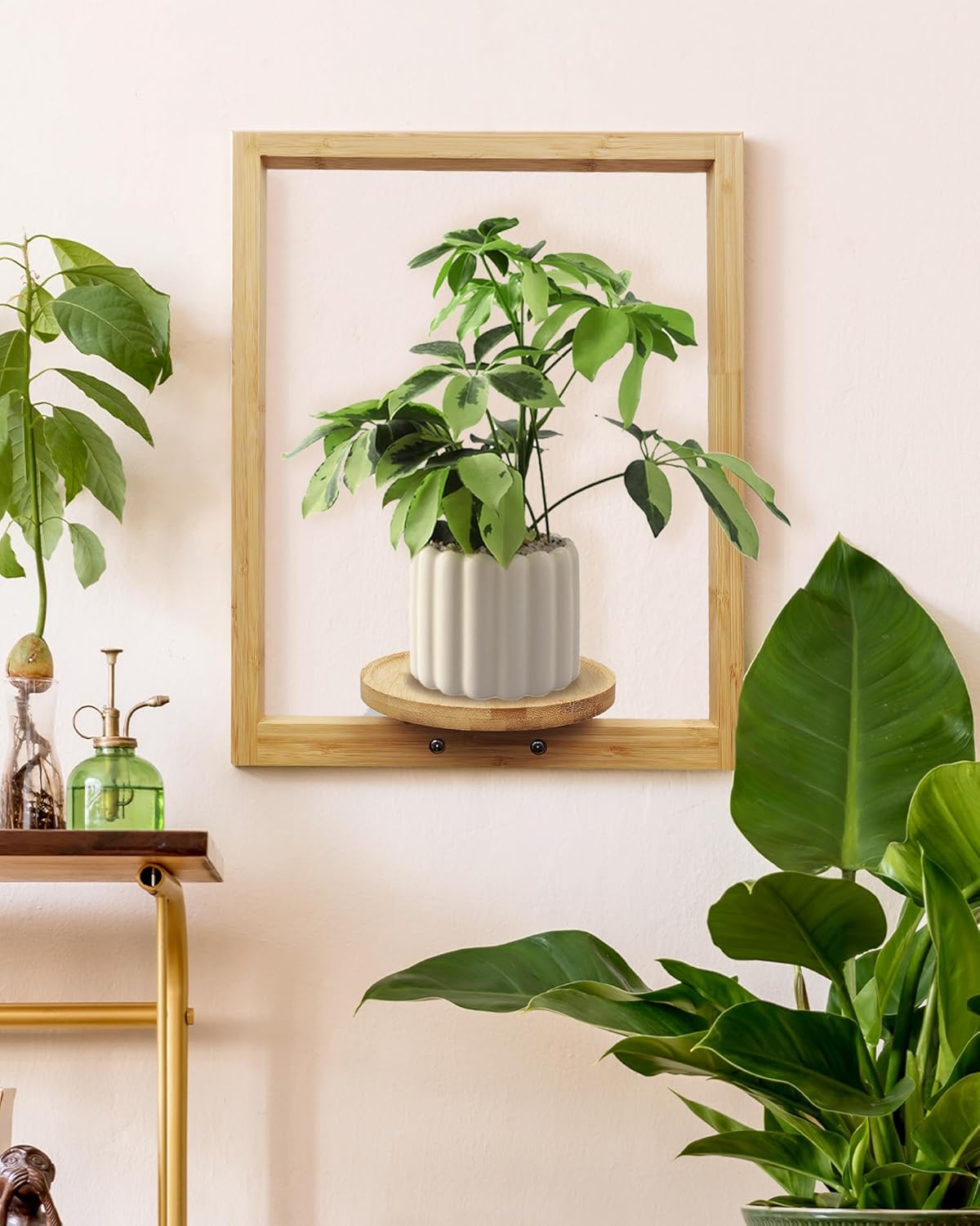 yadoker Wall Planters for Indoor Plants,Bamboo Hanging Plant Holders, Wall Decor Plant Stand, 3-Pack Window Plant Shelves for Living Room & Entryway