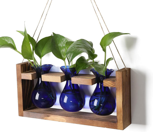 Plant Propagation Station Plant Terrarium Unique Birthday Gifts for Women Plant Lovers Home Office Decor Planter with Wooden Stand - 3 Bulb Glass Vase