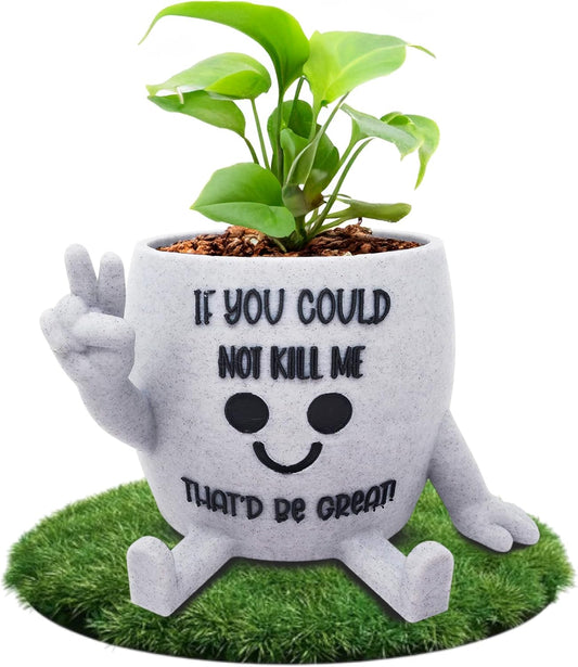 Funny Face Indoor Head Planter Pot, 3D Printed, Unique Small Succulent Flower Pot, Cute Cactus Planter, Indoor Home Decor, Office Desk Plant Pot, Novelty Gardening Gift Set