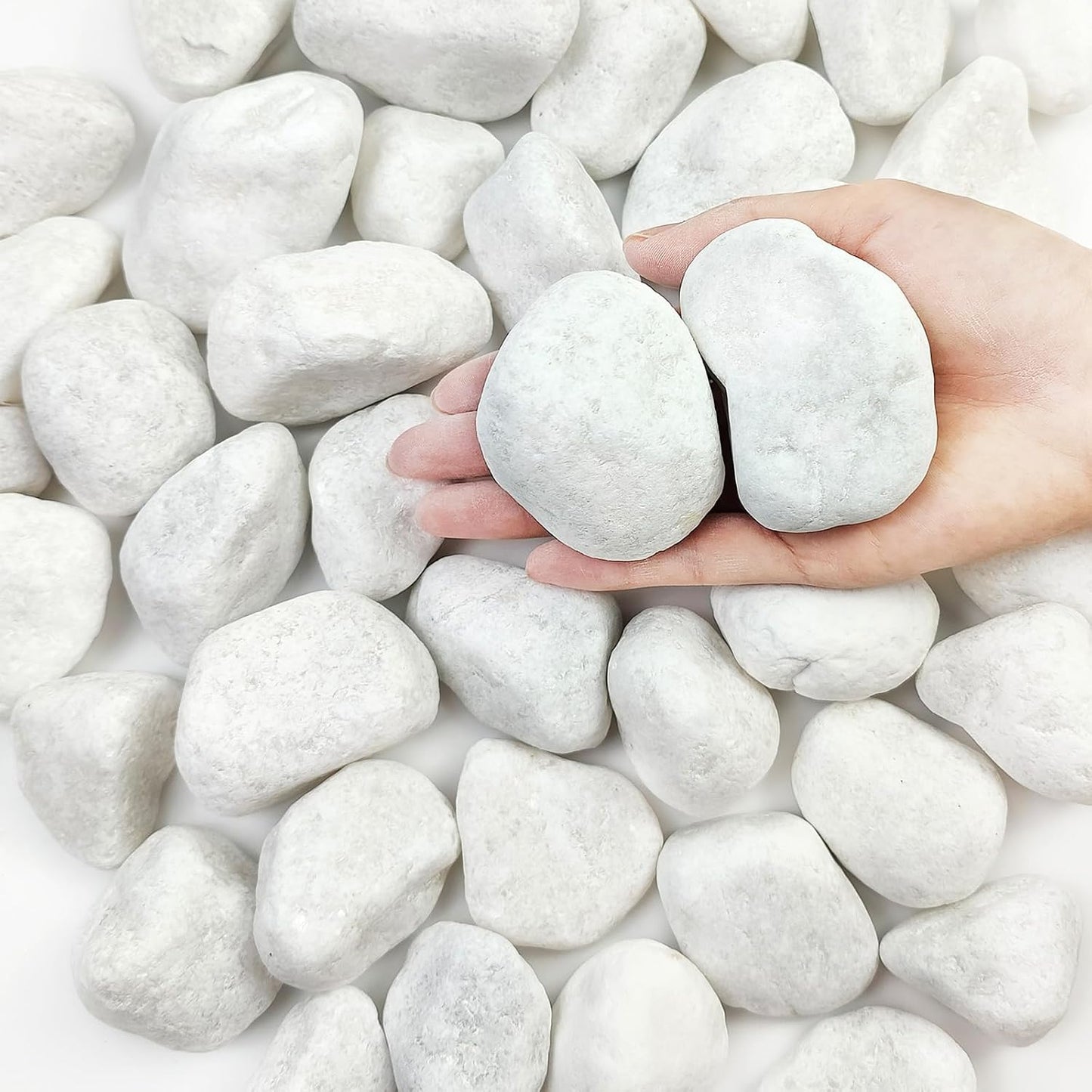 20 lbs White Rocks for Landscaping, 2-3 Inch Large River Rocks. Decorative Pebbles for Plants Indoor, Vases, Aquariums Gravel, Crafting and Garden