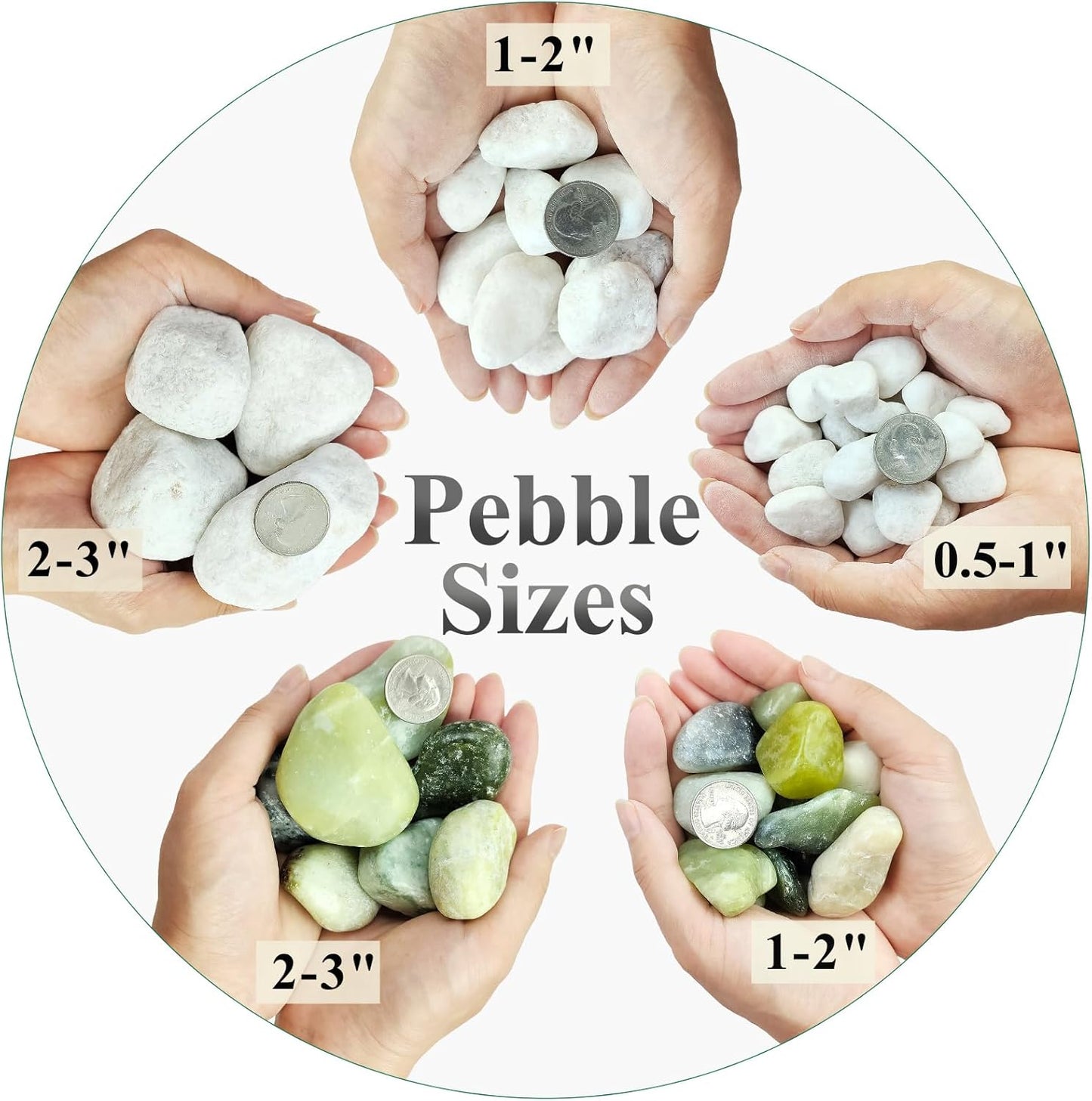 5 lbs White River Rocks for Plants, 1-2 Inch Pebbles for Indoor Plants, Decorative Gravel Stones for Succulent, Cactus, Landscaping, Vases, Aquariums, Crafting and Garden