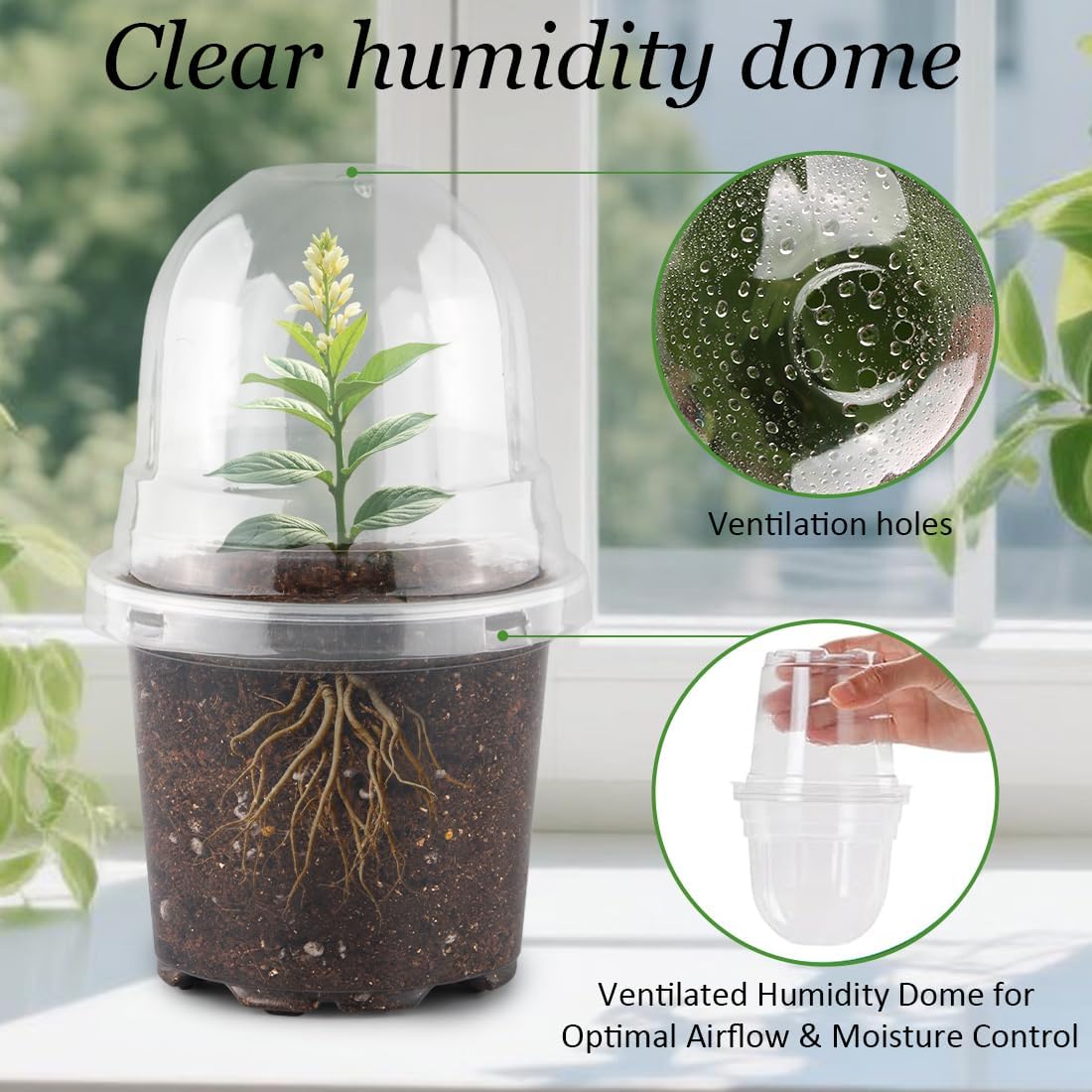 Transparent Nursery Pots 4Inch with Humidity Domes for Seeds Starting, Clear Plastic Plant Pots with Drainage Holes (4Inch, 30Pcs,Clear Pots with Lids)