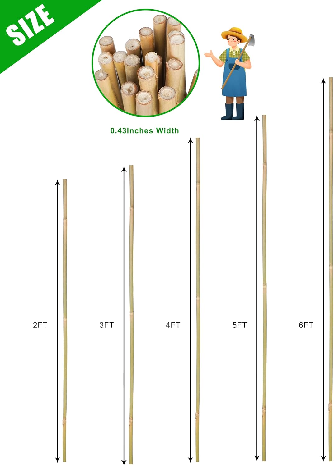 2ft Natural Bamboo Plant Stakes for Tomatoes, Beans, Flowers, Potted, Climbing Plants 25pcs