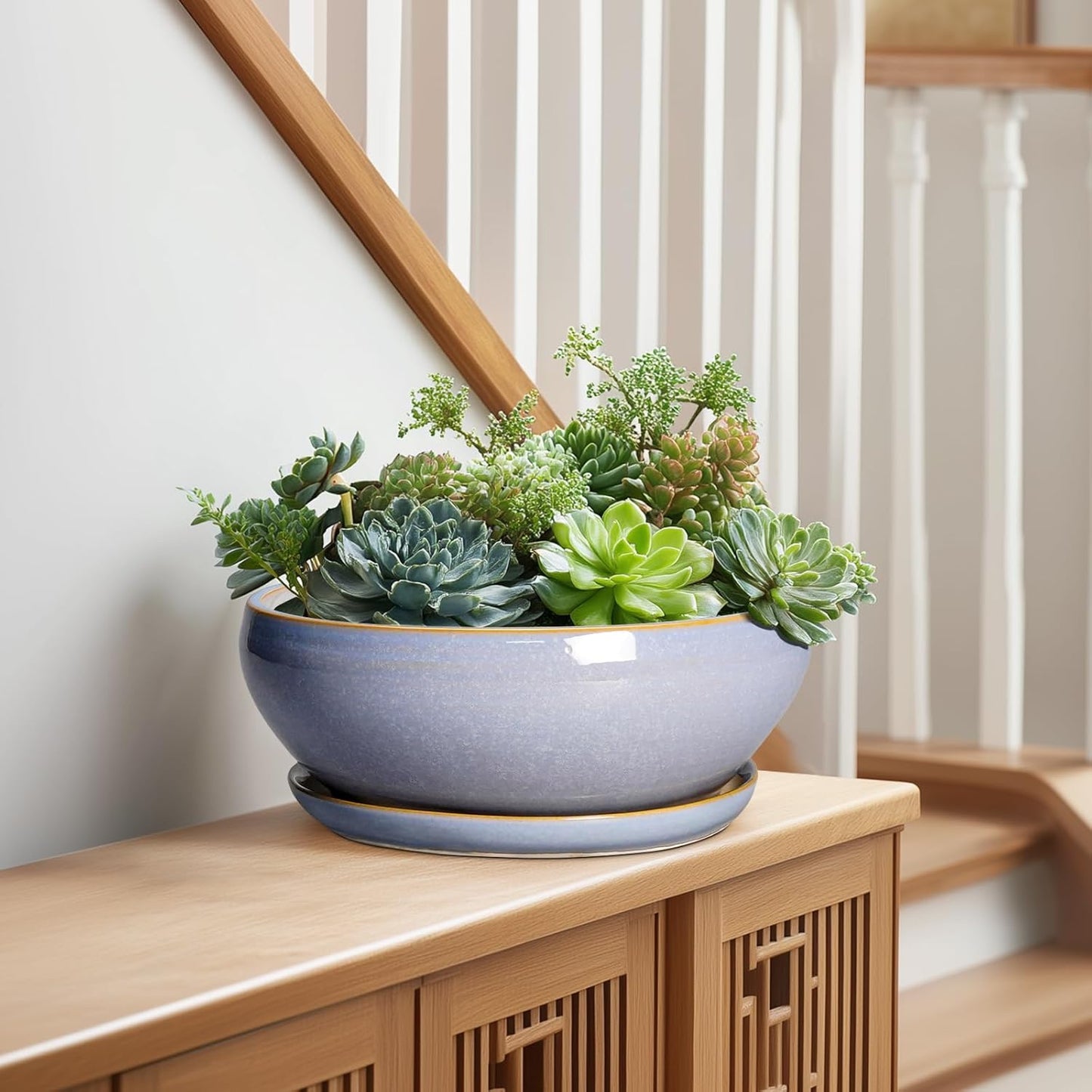 SQOWL Succulent Pots - 10 Inch Ceramic Bonsai Pots with Drainage Hole and Saucer, Round Shallow Planter for Indoor Outdoor Plants, Ceramic Planter Bowl, Home Decor, Gardening Gifts, Blue