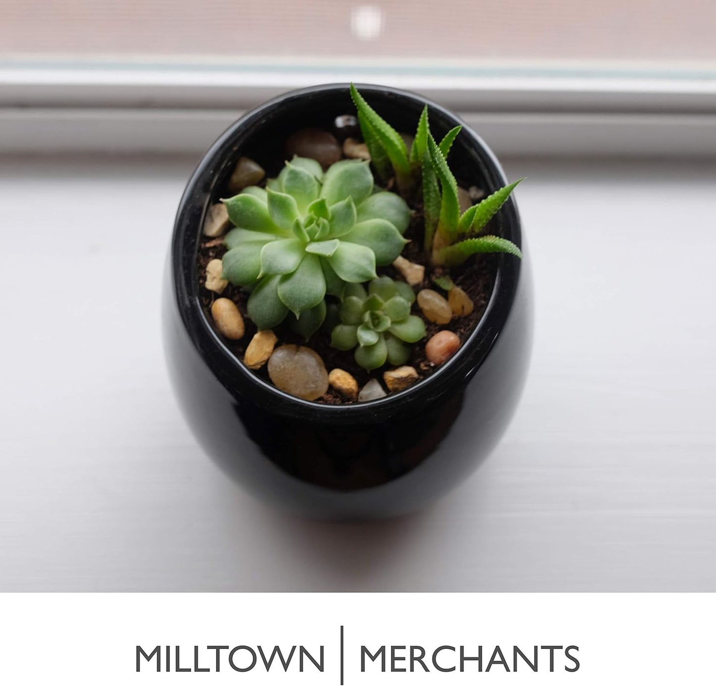 Milltown Merchants Succulent Wall Planter - Black Ceramic Mounted Vase - Plant Pot for Living Wall (1 Pack/Modern/Black)
