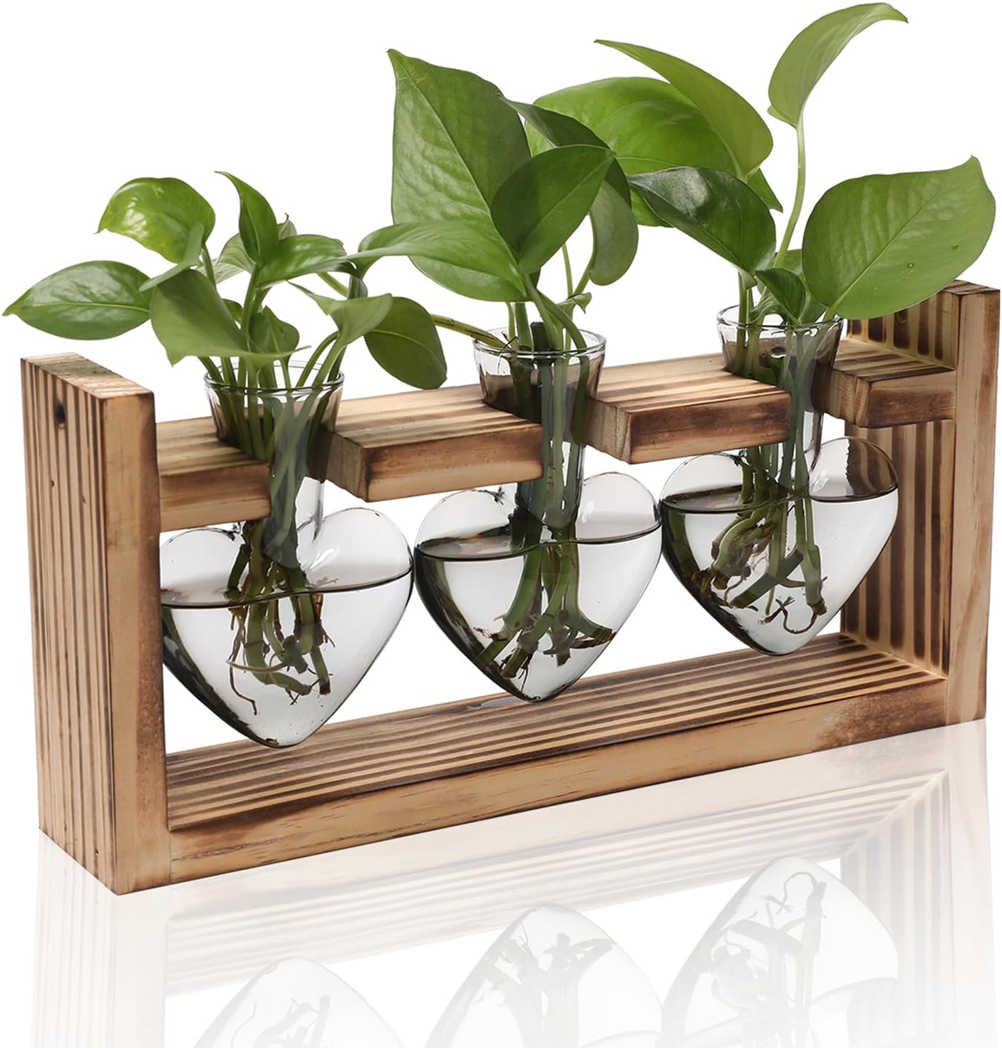 Plant Terrarium Propagation Stations Hydroponics Home Garden Decoration Gift for Women with Wooden Stand Heart Shaped Colored Glass Vase