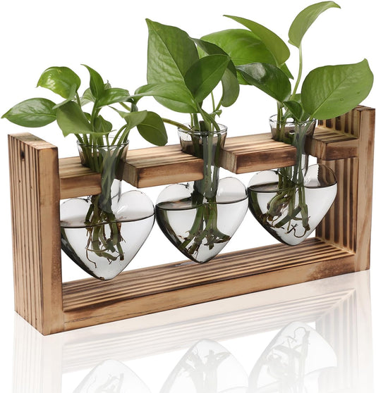 Plant Terrarium Propagation Stations Hydroponics Home Garden Decoration Gift for Women with Wooden Stand Heart Shaped Colored Glass Vase