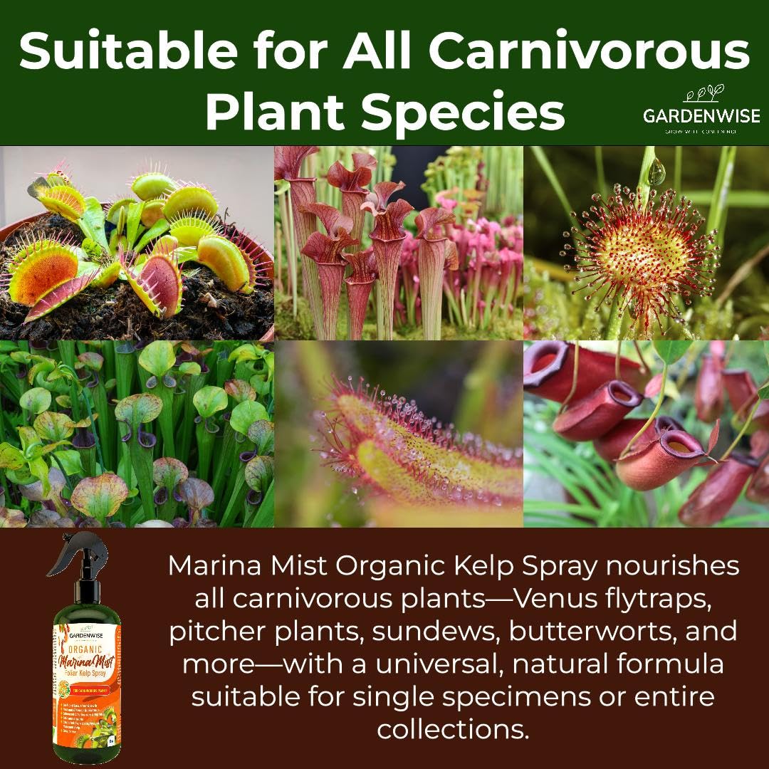 100% Organic Marina Mist Carnivorous Plant Food | Liquid Kelp Foliar Spray for Plants - Kelp Fertilizer for Venus Flytraps, Sundew, Butterworts, Pitcher Plants 8 Oz