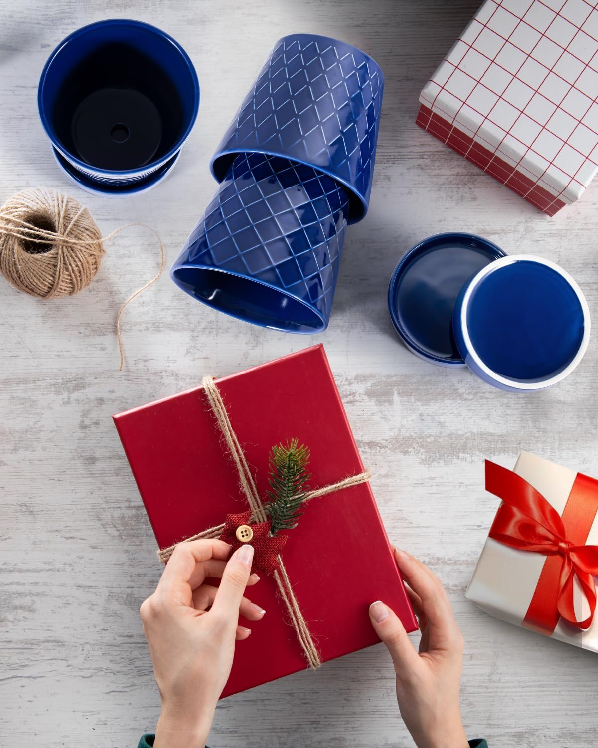 EFISPSS Ceramic Plant Pots, 5Inch Pots for Indoor Plants, Planters with Drainage Holes and Ceramic Tray,Plant Lover Gift, Desktop Office Windowsill Decoration Gift Set of 4 - Blue