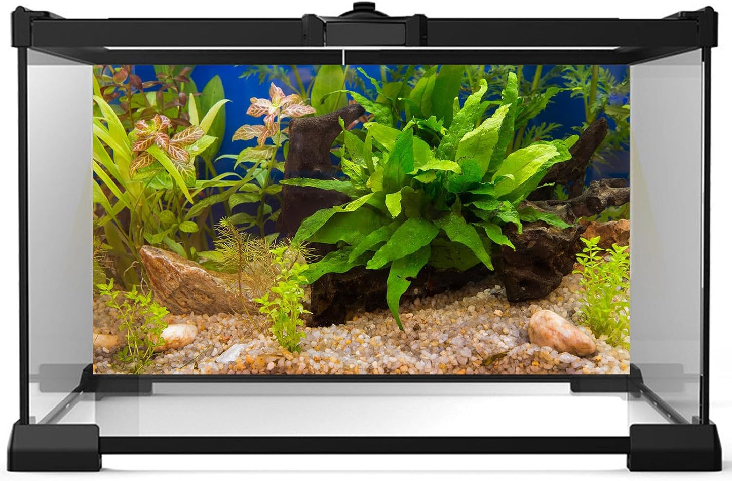 Fish Tank Background Underwater Grass Leaves Pebble Aquarium Background Vivid Green Aquatic Plant Terrarium Background Stone River Bed Fish Dead Wood Leaves Tank Background 48x24in