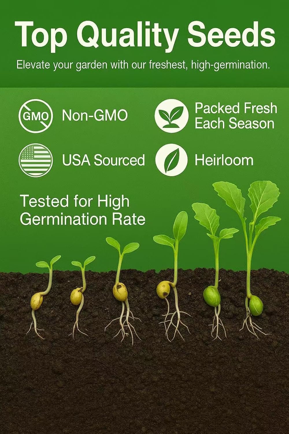 30000+ Creeping Thyme Seeds – 4g – Perennial Ground Cover Plants Flowers Non-GMO Heirloom – Purple Bloom Garden Seeds for Planting