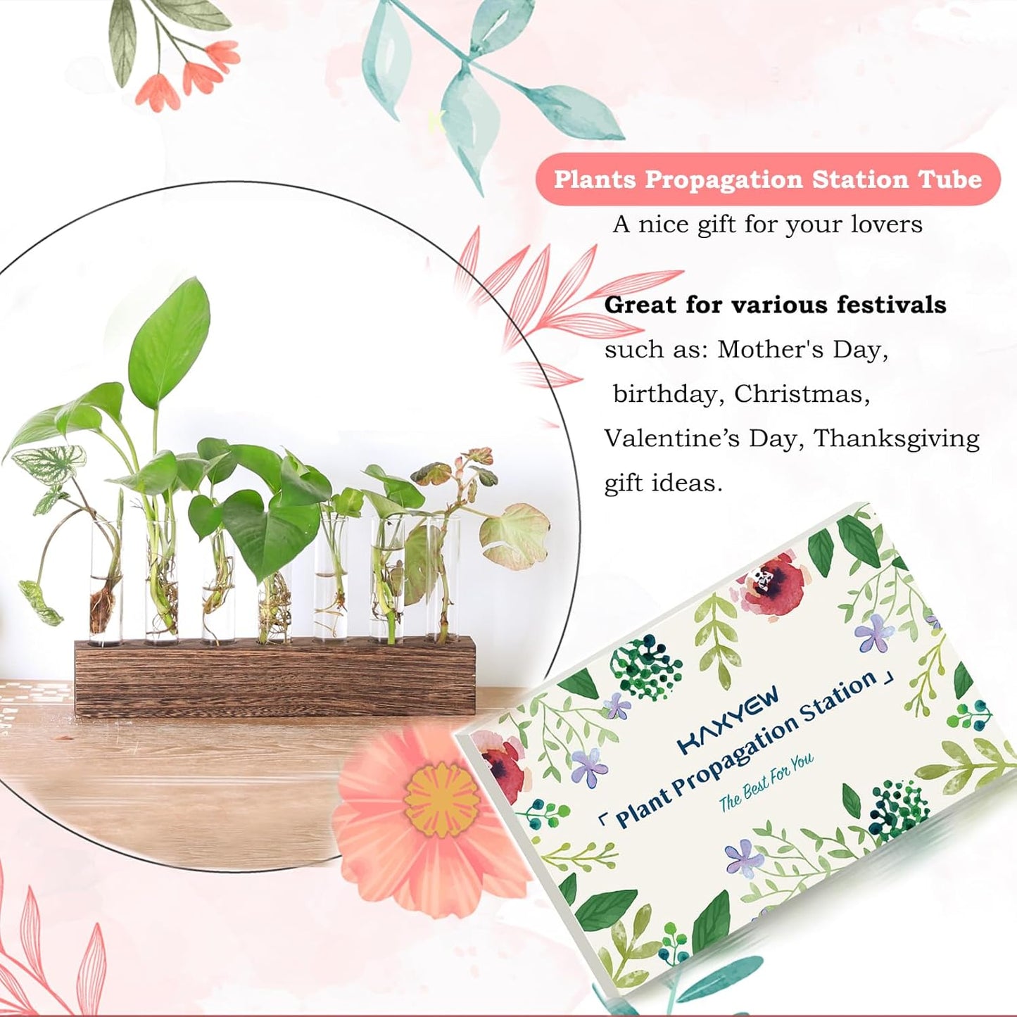 KAXYEW Desktop Glass Plant Propagation Station Test Tube Plant Terrarium in Wooden Stand for Hydroponic Plants Cutting Office Home Decoration