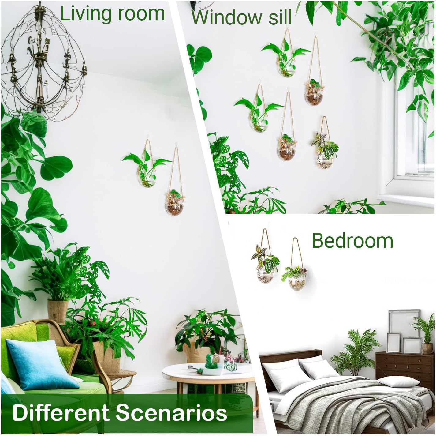 Wall Hanging Glass Planter Air Planter Terrarium Vase Propagation Stations for Hydroponic Plants, Succulent Moss Tillandsias Air Plants Globe,Home Office Garden Decor, Set of 2