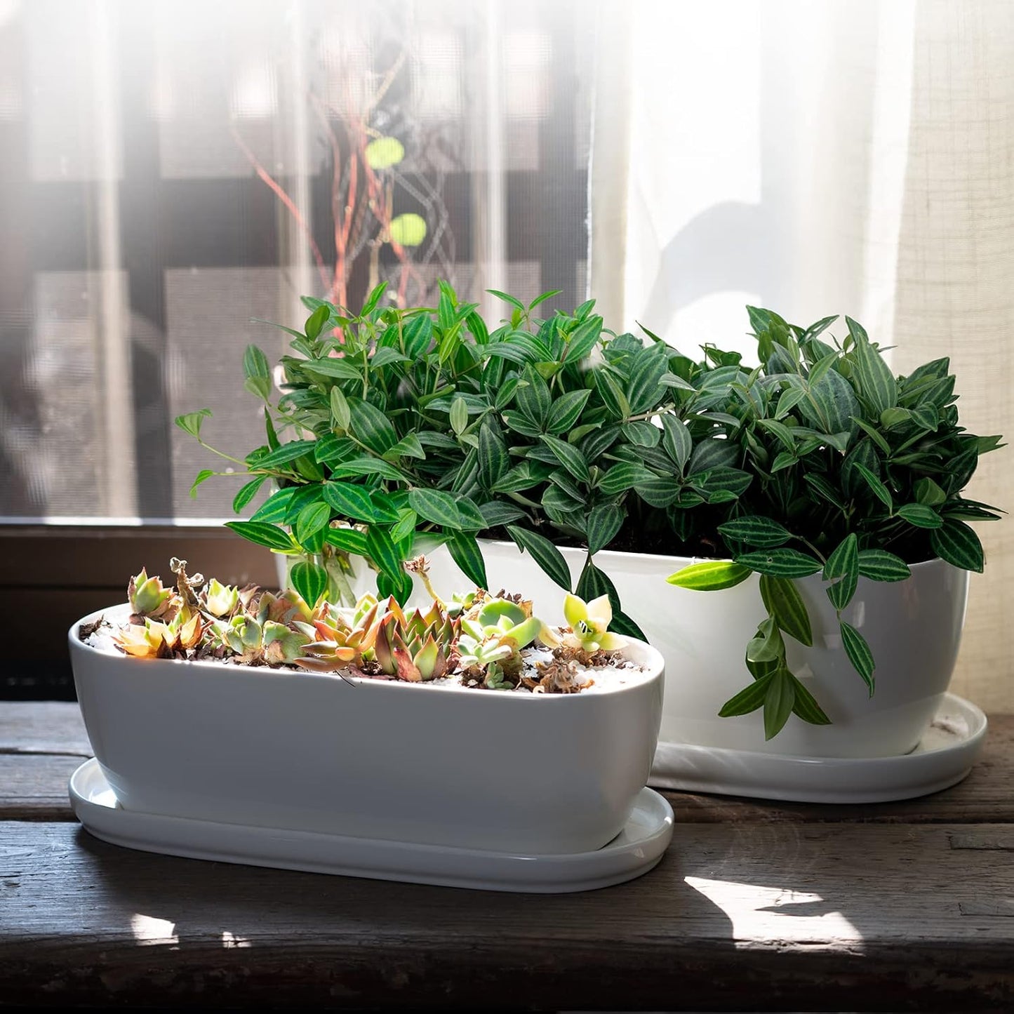 E-liu Ceramic Plant Pots, 11+14 inch, Set of 2, Planters with Drainage Holes Saucers and Mesh Pads, Indoor Flower Succulent Pot with Hole Mesh Pad, Gifts for Mom, Plants Not Included