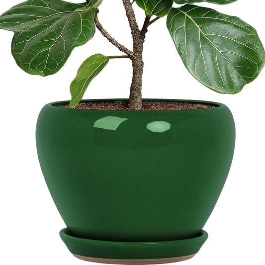 Deep Dream 10 Inch Plant Pot- Ceramic Planter Pot Round Plant Pots for Indoor Plants Outdoor Large Flower Pot with Drainage Holes & Trays, Green
