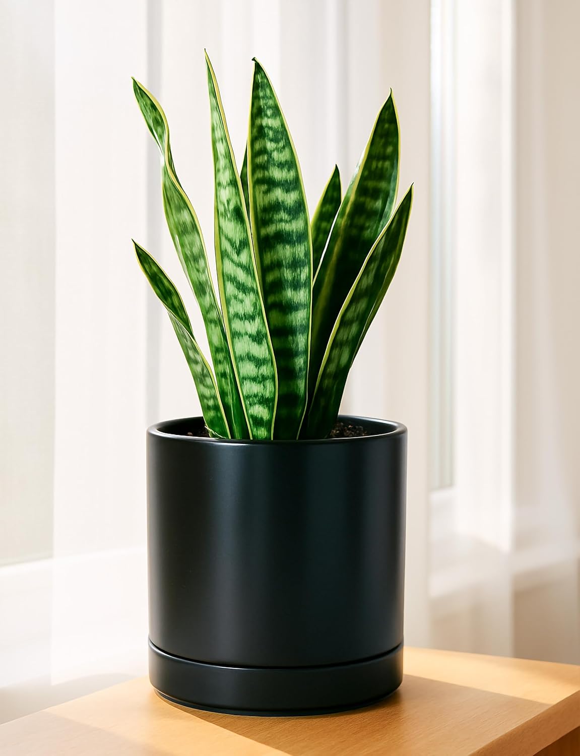 D'vine Dev 8 Inch Ceramic Planter Pot with Drainage Hole and Saucer, Indoor Cylinder Round Planter Pot, Black, 94-O-D-2