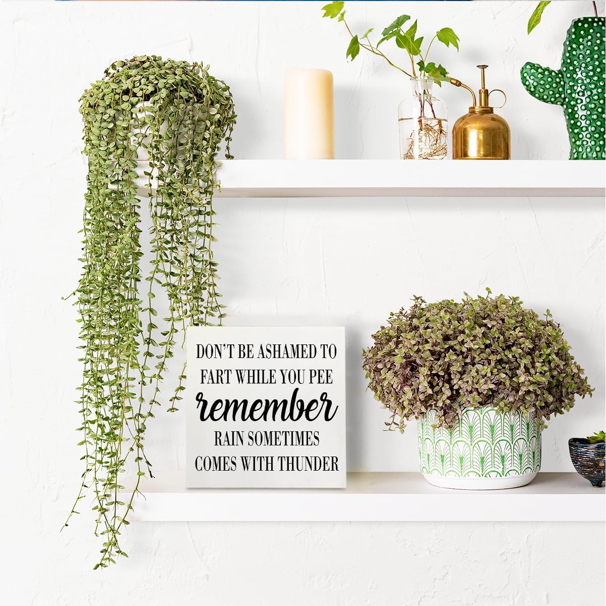 HTBIG Funny Bathroom Decor Desk Decor Wooden Box Sign Rustic White Wood White Plaque Box Sign for Home Farmhouse Bar Toilet Washroom Shelf Table Decoration Don't be Ashamed to Fart While Peeing Sign