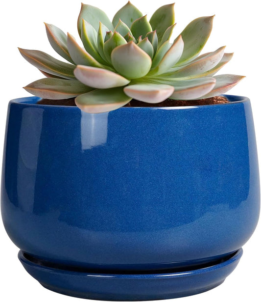 G EPGardening 6 Inch Plant Pot - Round Ceramic Planter Indoor with Drainage and Ceramic Saucer for Flower, Modern Desk Decor, Modern Garden Gift, Blue
