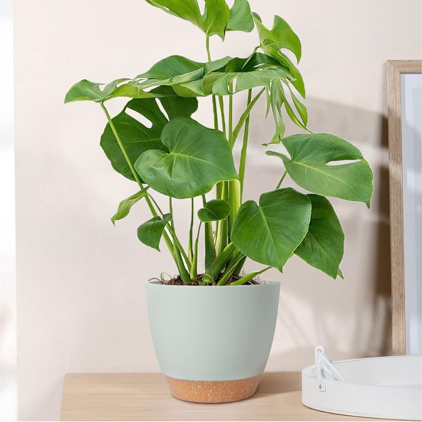 GARDIFE Plant Pots Set of 2 Pack 8 inch,Planters for Indoor Plants with Drainage Holes, Modern Decorative Flower Pots for All House Plants, Flowers, Green