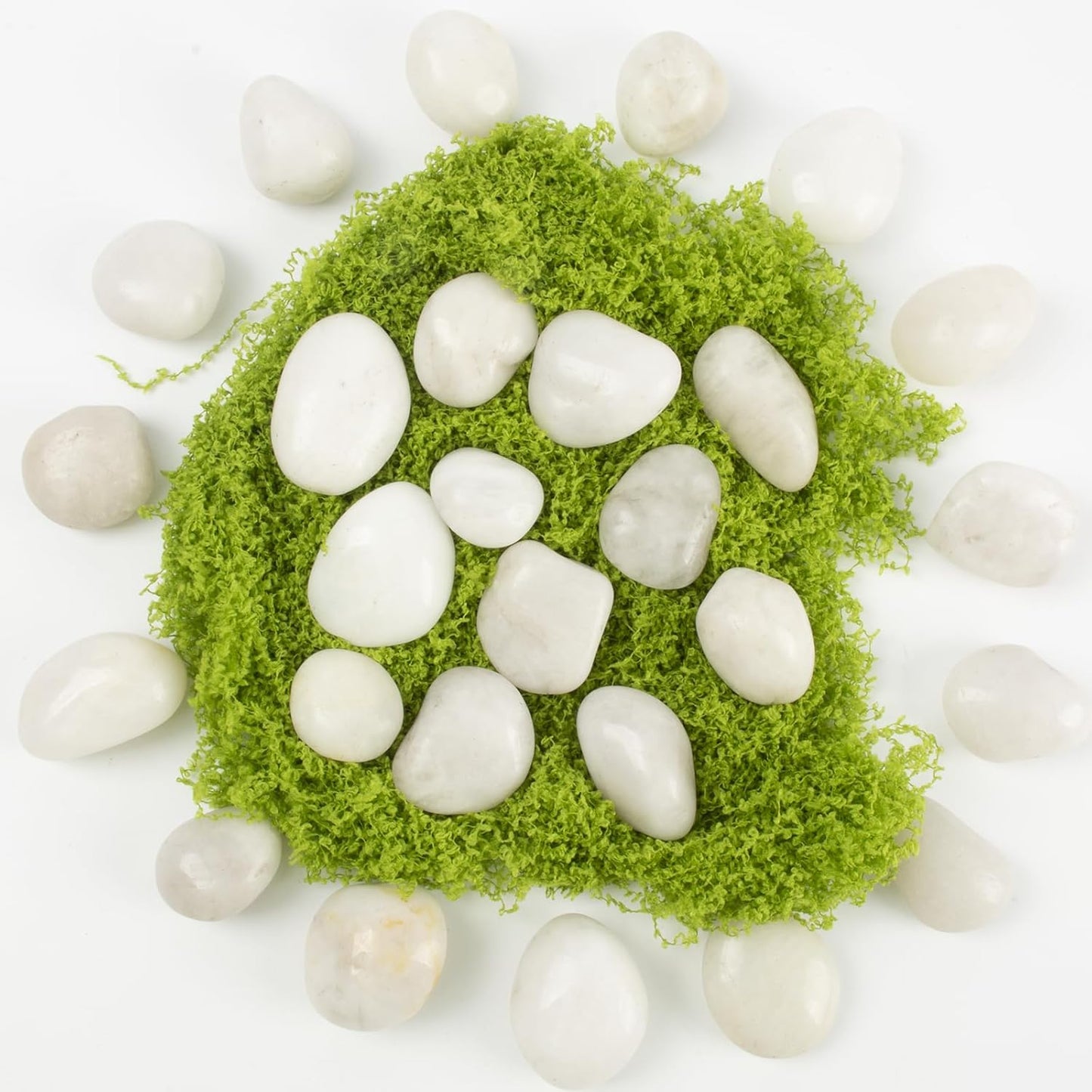 River Rocks - Natural Polished White Pebbles, 0.5-1 inch, 10 Lbs - Ideal for Indoor Planting, Vase Filling, Aquarium Decoration, and Garden Landscaping (White, Weight: 10 LB)