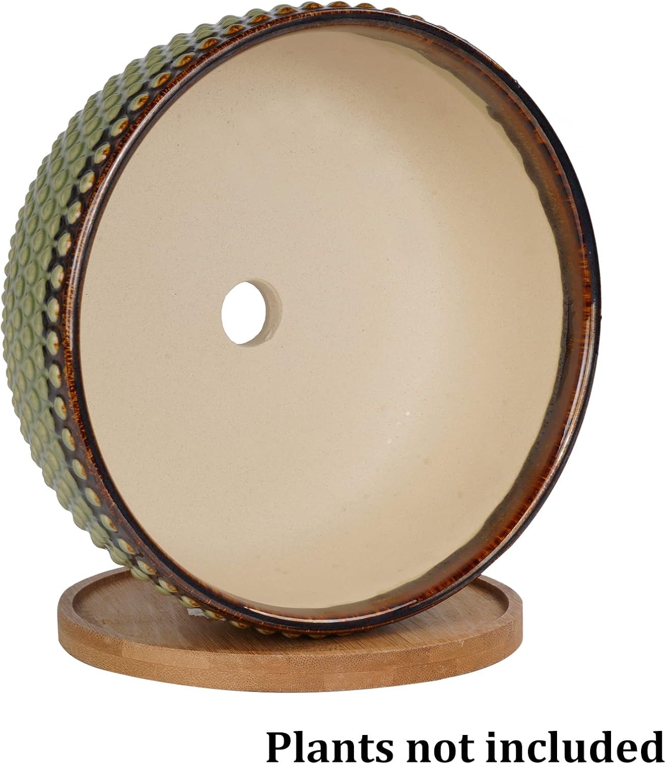 8 Inch Ceramic Succulent Shallow Planter Pot with Drainage Hole and Saucer Beaded Stoneware Planter for Indoor Plants Green