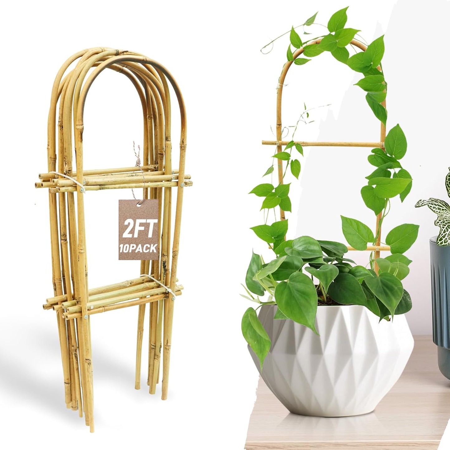 Avalution 10 Pack Bamboo U Trellis for Climbing Plants, 2ft Garden Ladder Trellis for Potted Plants Indoor, Ladder Small Plant Support Trellis for Houseplants Ivy Hoya Vine Monstera