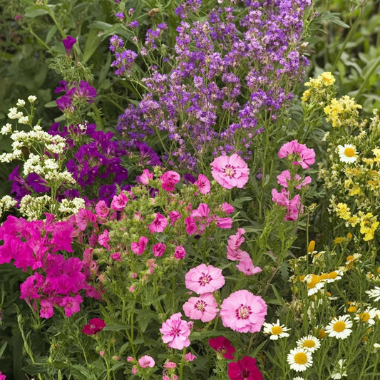 Ferry-Morse Bumblebee Buffet Mix Bulk Flower Seeds, 1lb