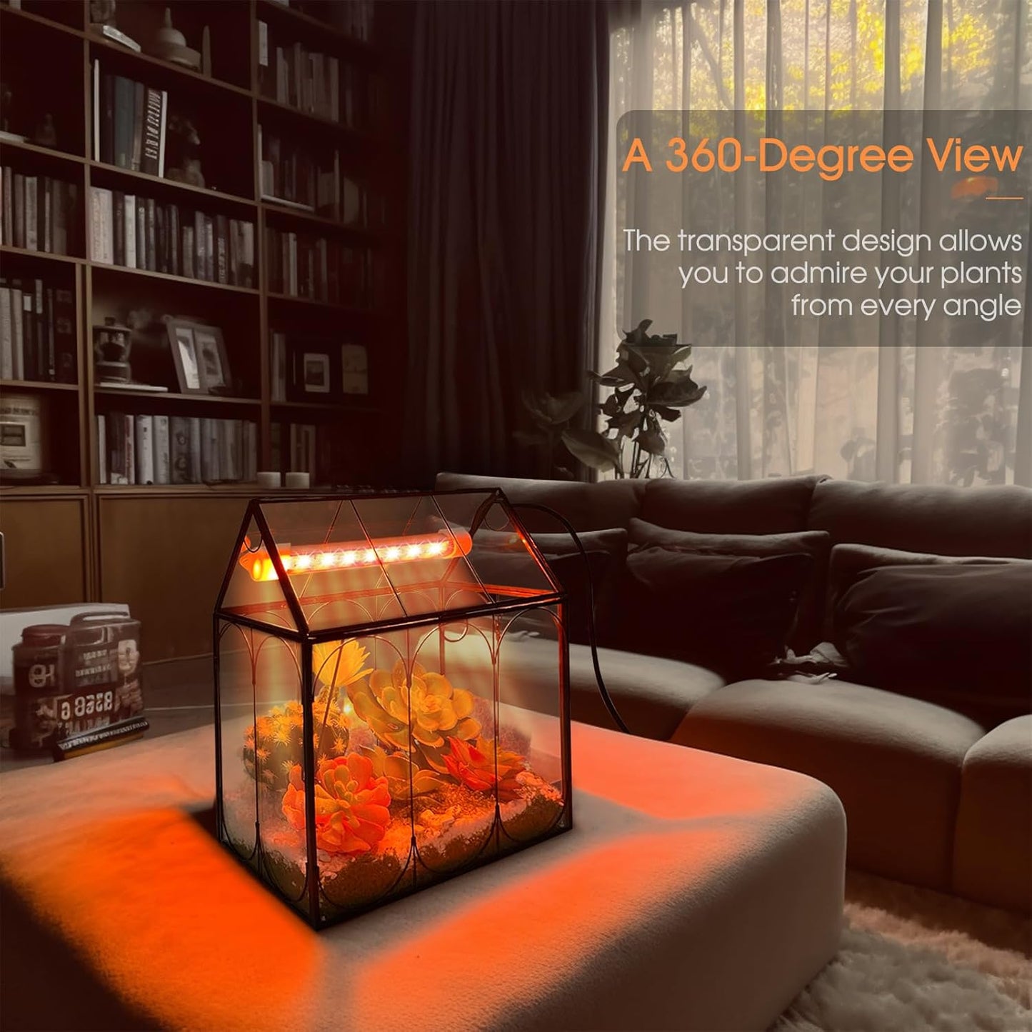 Plant Terrarium Kit with Grow Light, Rifny Large Glass Terrarium Jar with Absorbent Mat and Lid for Venus Fly Trap Succulent Live Air Plants Indoor Home Office Decor (Black, 8.9 x 5.9 x 9.9 inch)