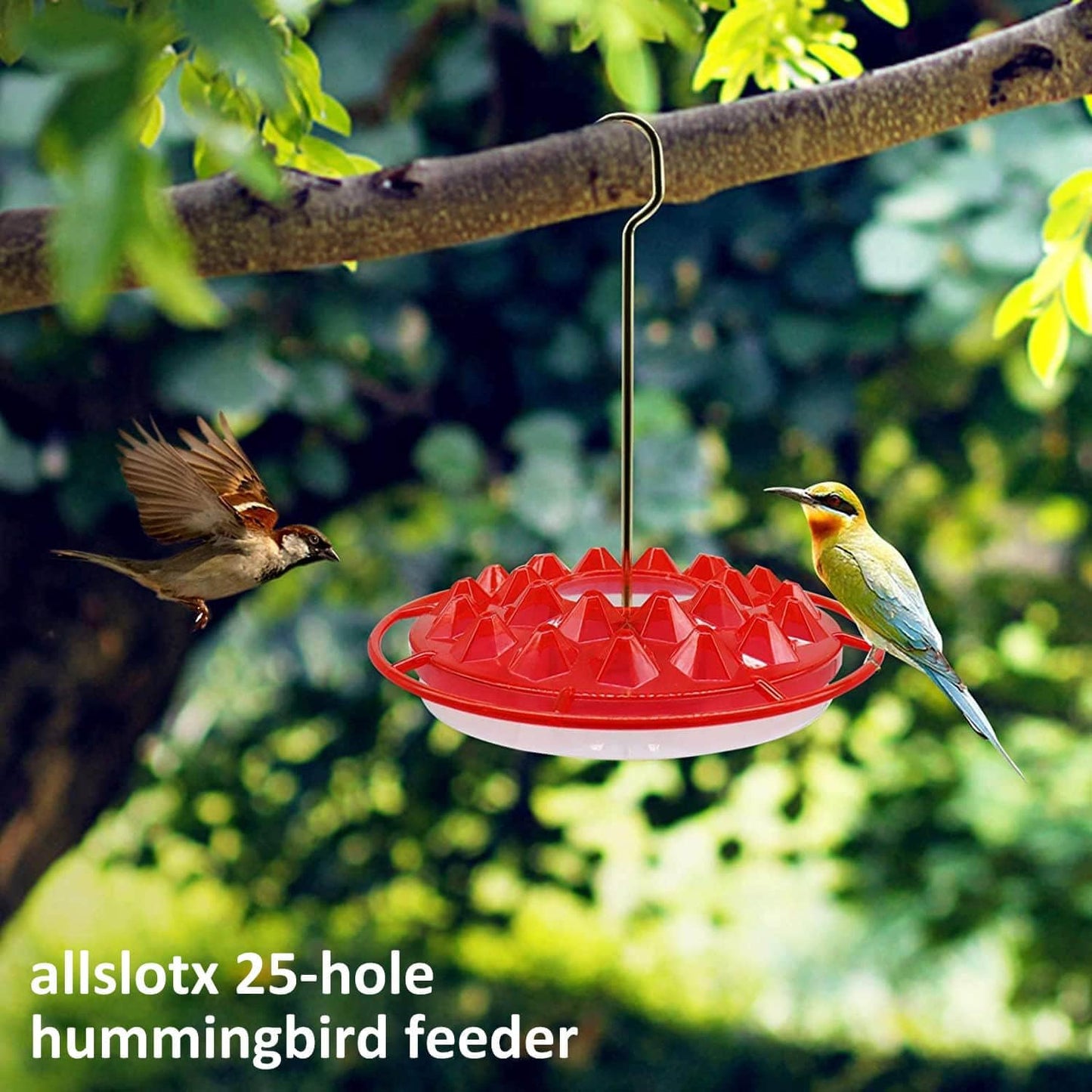 Hummingbird Feeders for Outdoors Hanging - 25 Feeding Ports 10 oz Plastic Hummingbird Feeder, Bee-Proof Leak-Proof No Drip, Easy to Clean with Cleaning Brushes