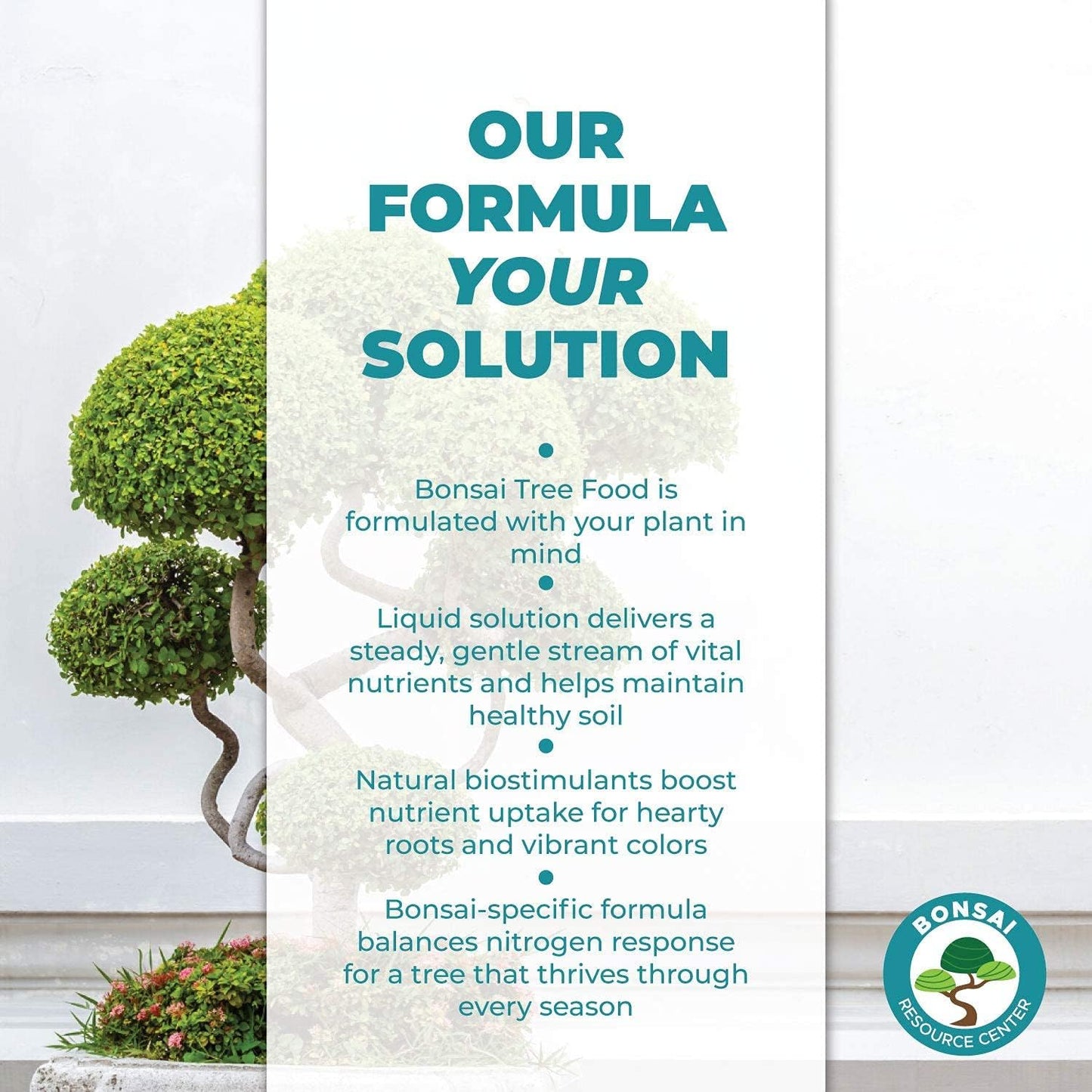 Bonsai Tree Food | Premium, Gentle Liquid Fertilizer for Healthy Growth, Strong Stems and Beautiful Blooms | 3-3-3 Balanced NPK Concentrate | Made in USA | 8 oz (240 ml)