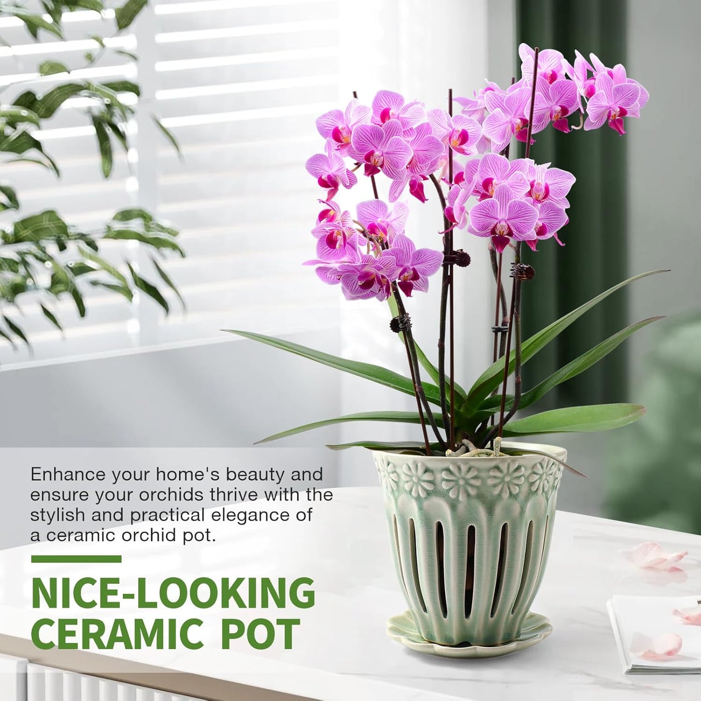 5" Ceramic Orchid Pots with Holes | Crackle Glazed Orchid Pot with Drainage and Separate Saucer | Ideal Plant Pot for Repotting Orchids and Other Flowers(Green)