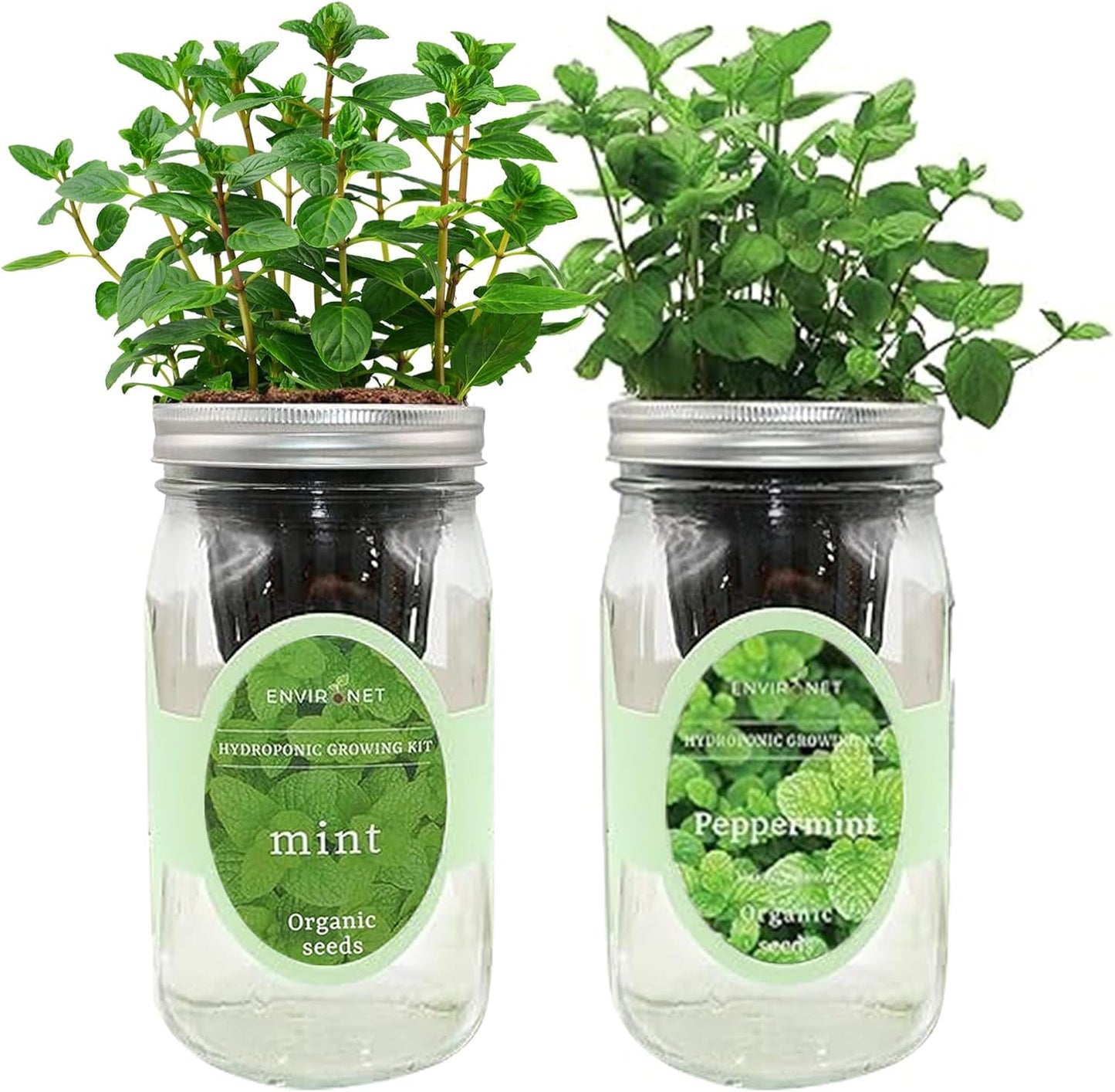 2-Pack Hydroponic Mason Jar Herb Garden Kit, Indoor Herb Garden Self-Watering Starter Kit (Mint,Peppermint)