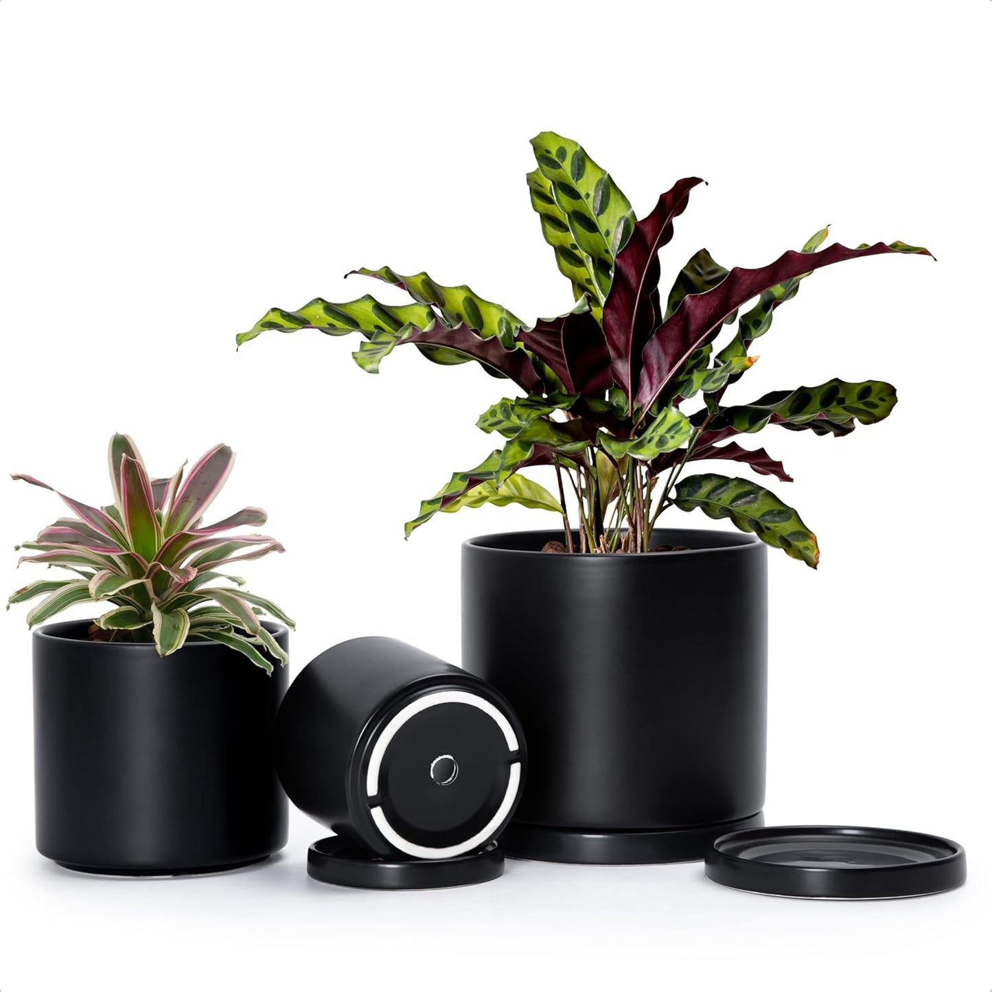 D'vine Dev Black Terracotta Pots for Plants, 4.2 Inch 5.3 Inch 6.5 Inch, Succulent Planter Pot with Drainage and Saucer, 40-T-A-2